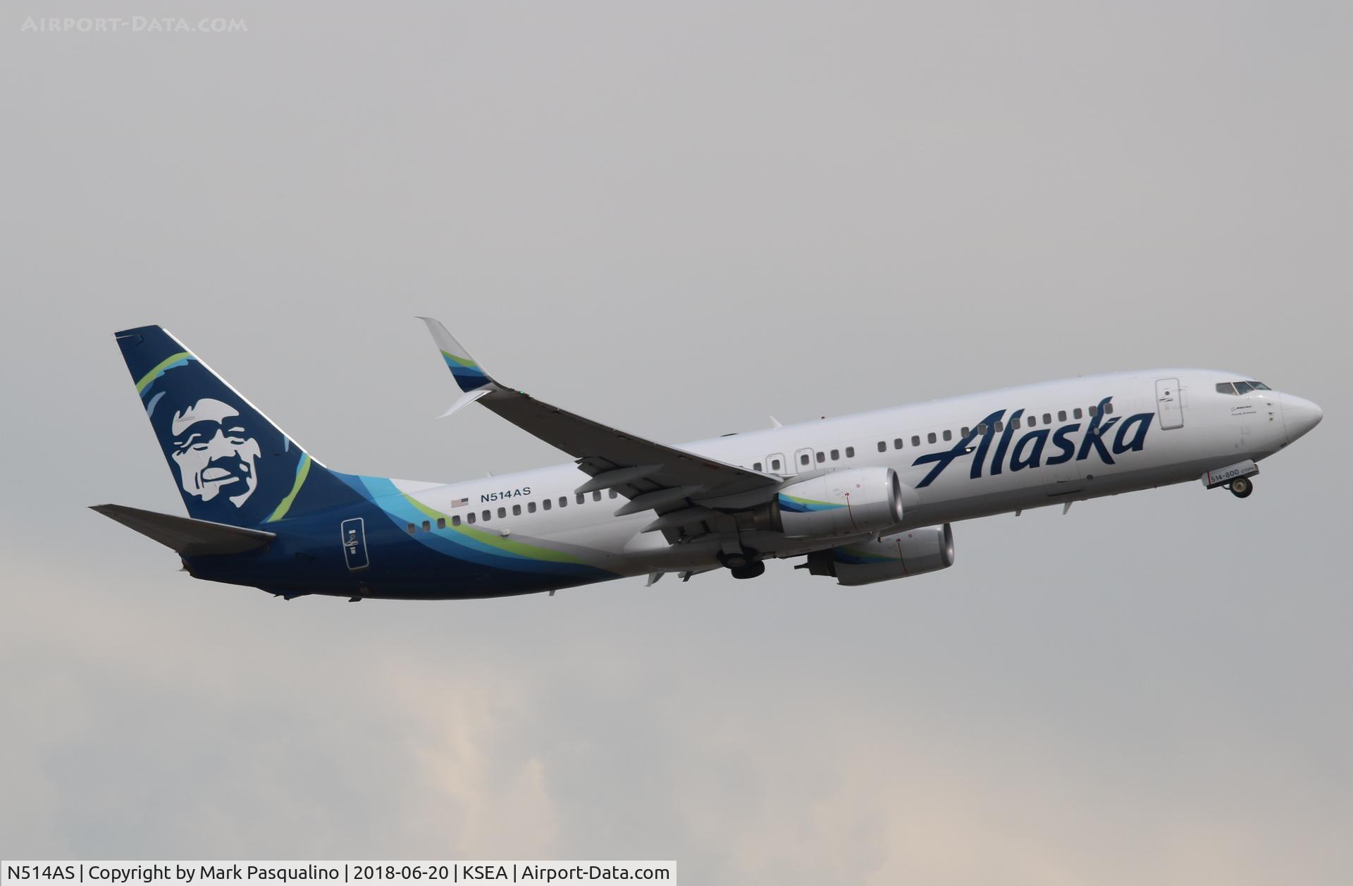 N514AS, 2008 Boeing 737-890 C/N 35193, Boeing 737-800