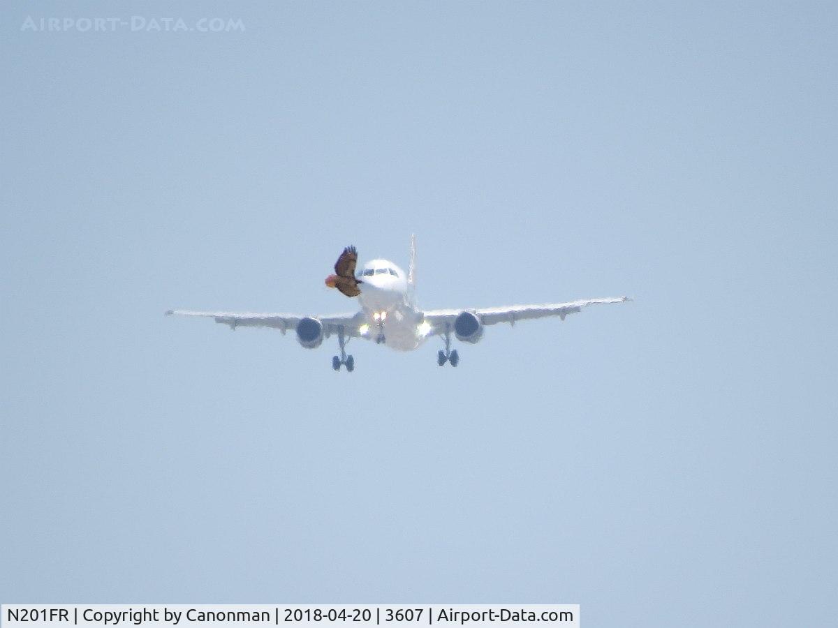 N201FR, 2008 Airbus A320-214 C/N 3389, Appears bird cut the airplane off