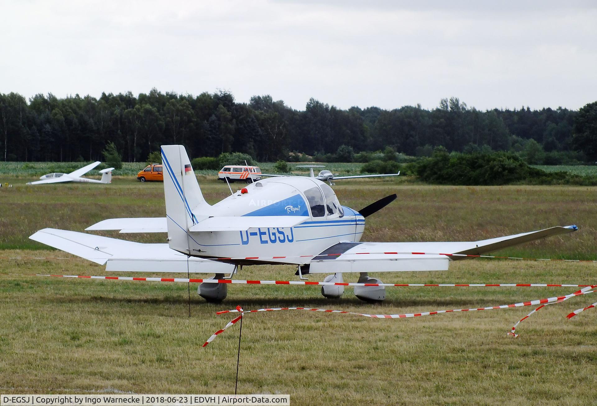 D-EGSJ, Robin DR-253B Regent C/N 199, Robin DR.253B Regent at the 2018 OUV-Meeting at Hodenhagen airfield