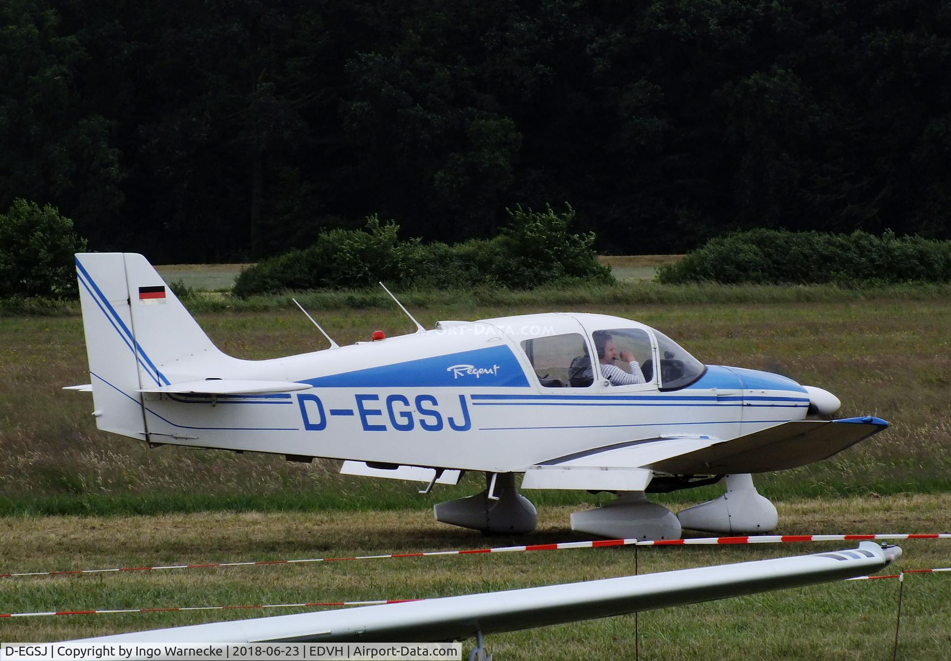 D-EGSJ, Robin DR-253B Regent C/N 199, Robin DR.253B Regent at the 2018 OUV-Meeting at Hodenhagen airfield