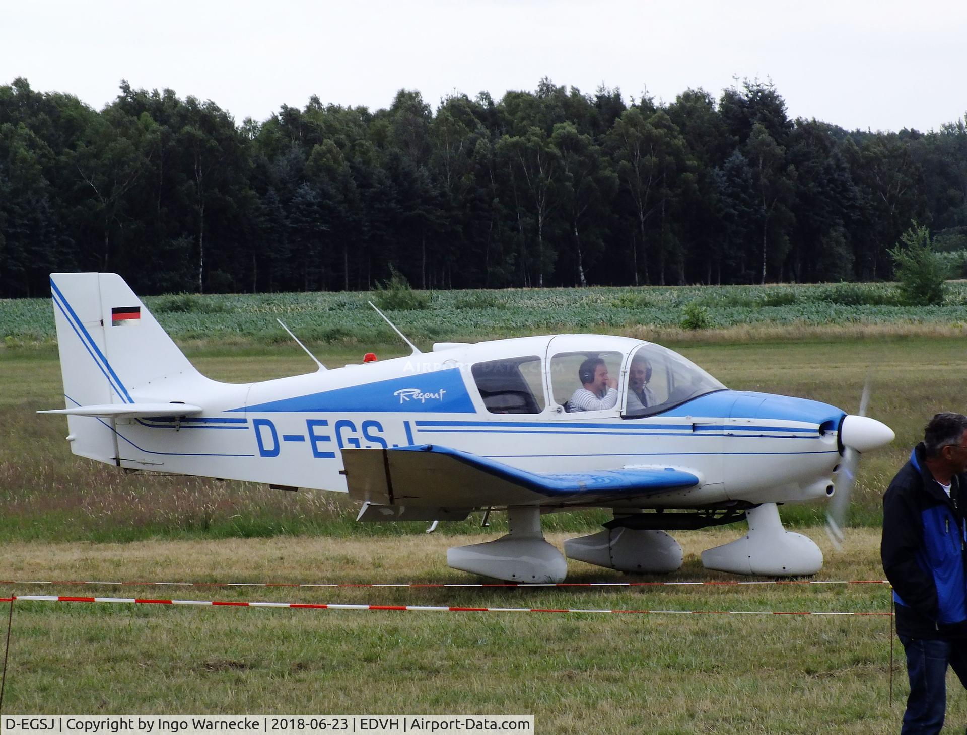 D-EGSJ, Robin DR-253B Regent C/N 199, Robin DR.253B Regent at the 2018 OUV-Meeting at Hodenhagen airfield