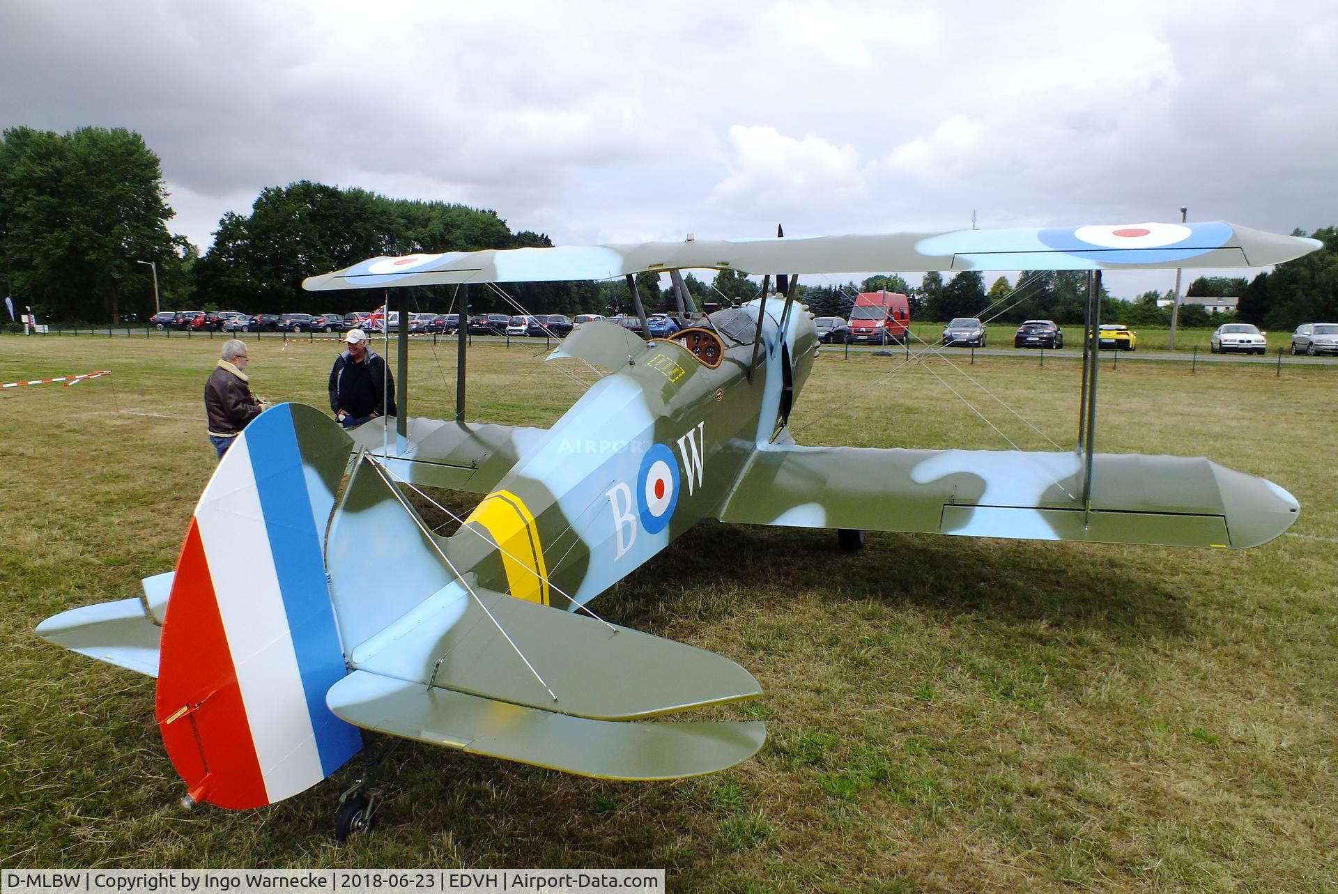 D-MLBW, Platzer Kiebitz B C/N 280, Platzer Kiebitz B at the 2018 OUV-Meeting at Hodenhagen airfield