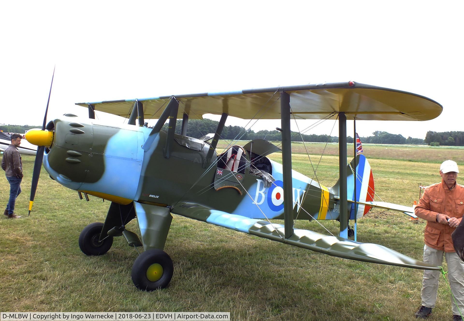 D-MLBW, Platzer Kiebitz B C/N 280, Platzer Kiebitz B at the 2018 OUV-Meeting at Hodenhagen airfield