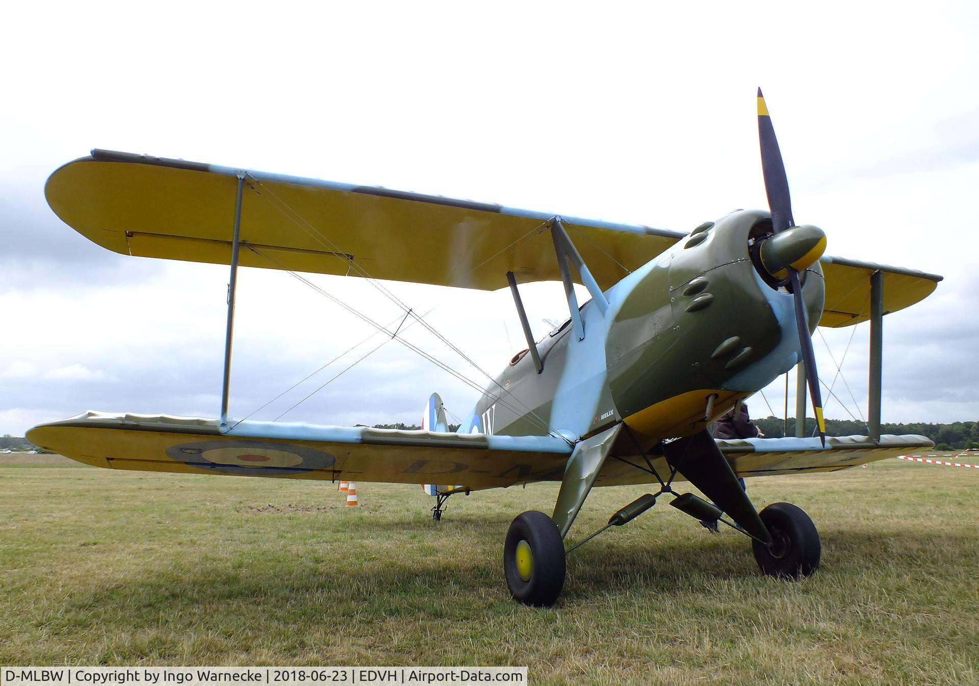 D-MLBW, Platzer Kiebitz B C/N 280, Platzer Kiebitz B at the 2018 OUV-Meeting at Hodenhagen airfield