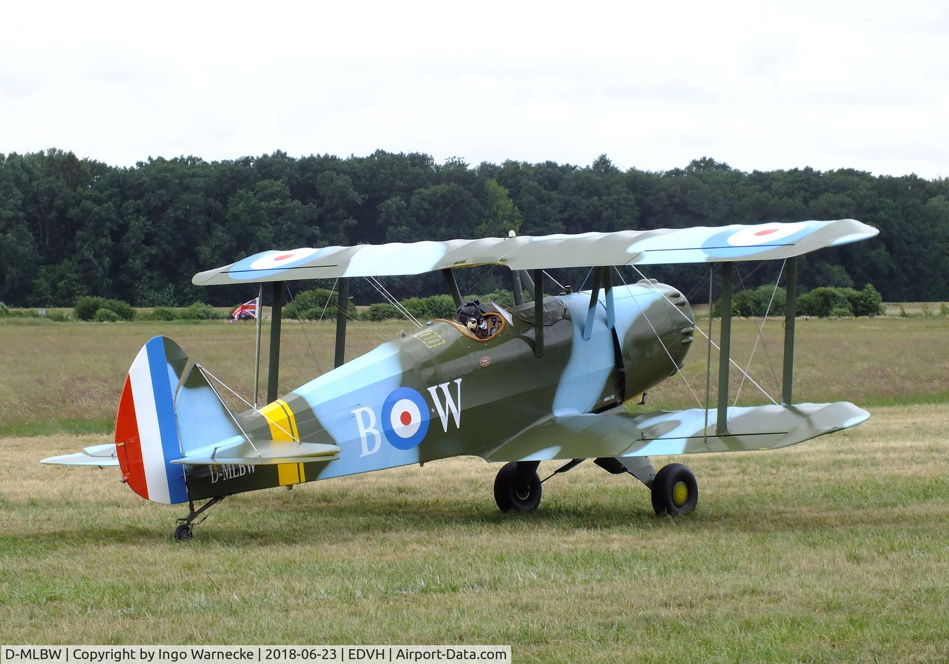 D-MLBW, Platzer Kiebitz B C/N 280, Platzer Kiebitz B at the 2018 OUV-Meeting at Hodenhagen airfield