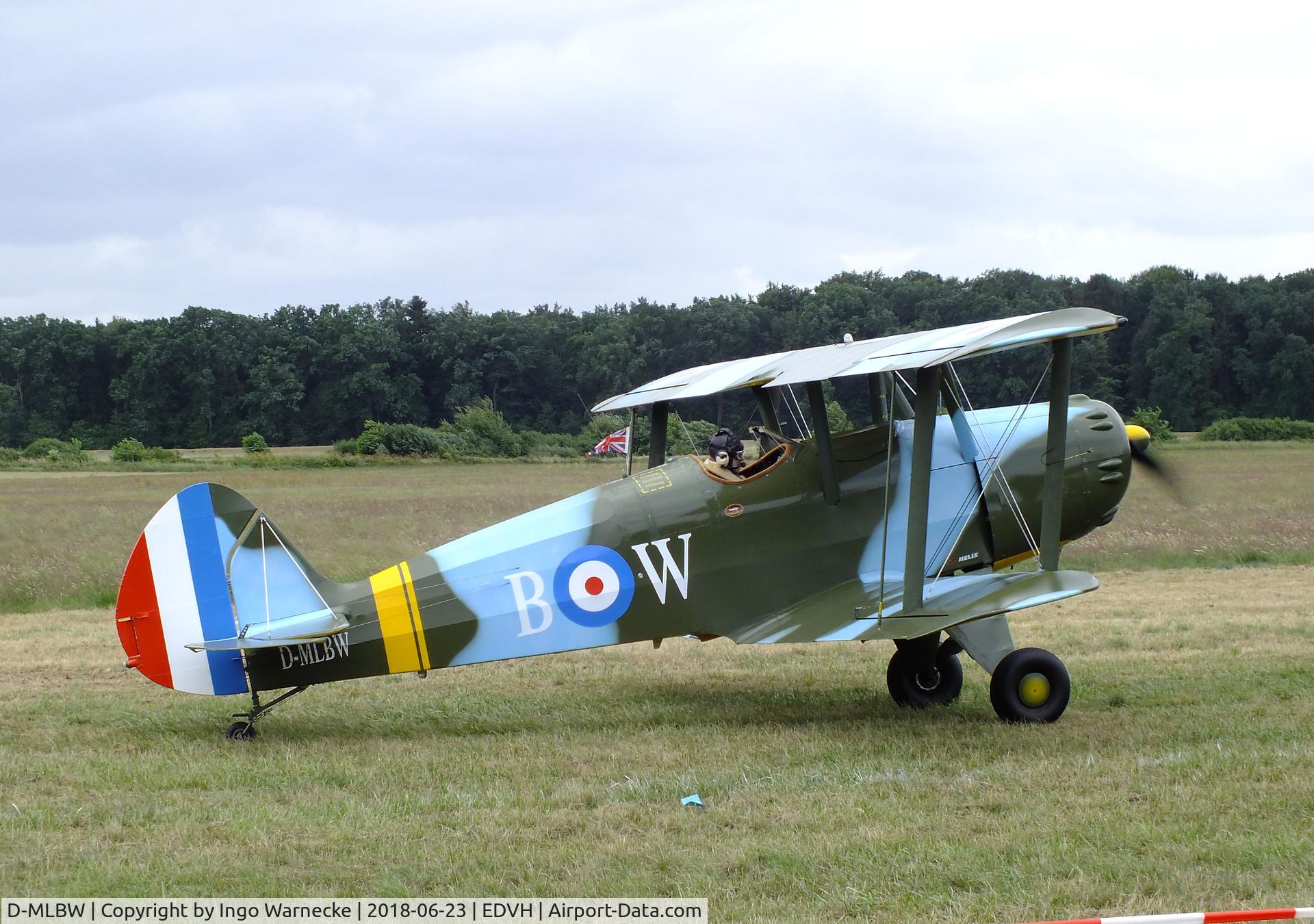 D-MLBW, Platzer Kiebitz B C/N 280, Platzer Kiebitz B at the 2018 OUV-Meeting at Hodenhagen airfield