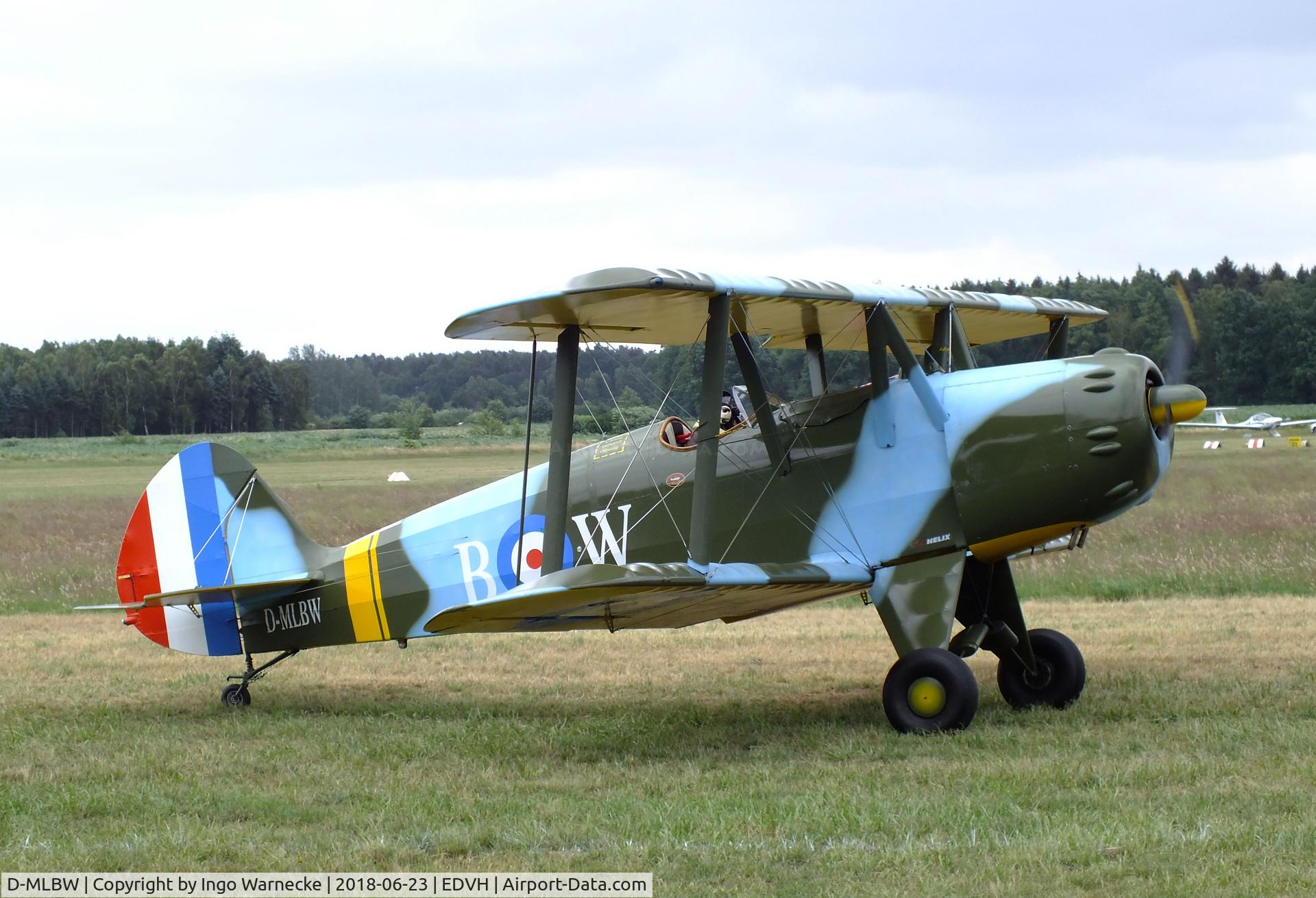 D-MLBW, Platzer Kiebitz B C/N 280, Platzer Kiebitz B at the 2018 OUV-Meeting at Hodenhagen airfield