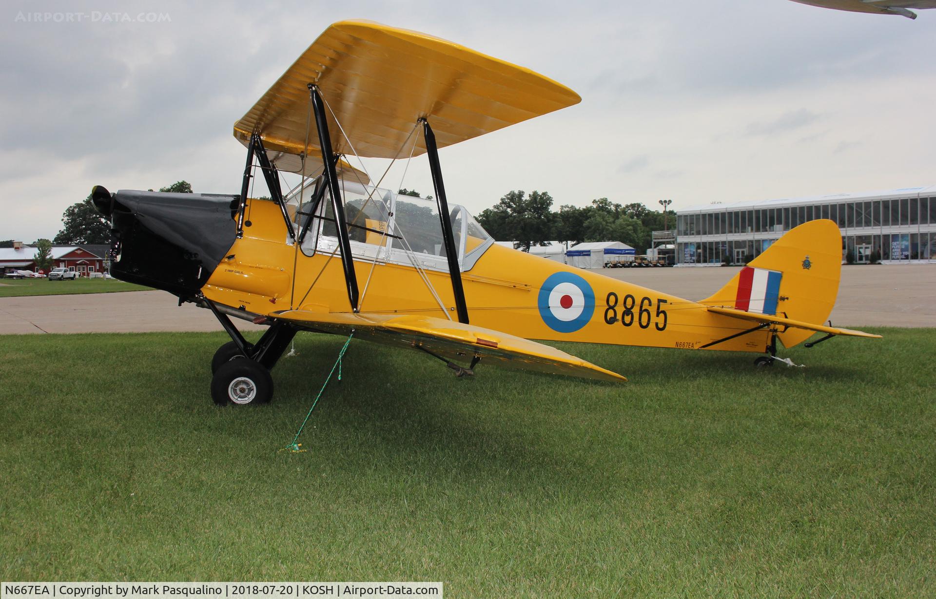 N667EA, 1942 De Havilland Canada DH-82C Tiger Moth C/N DHC1667, DH-82C