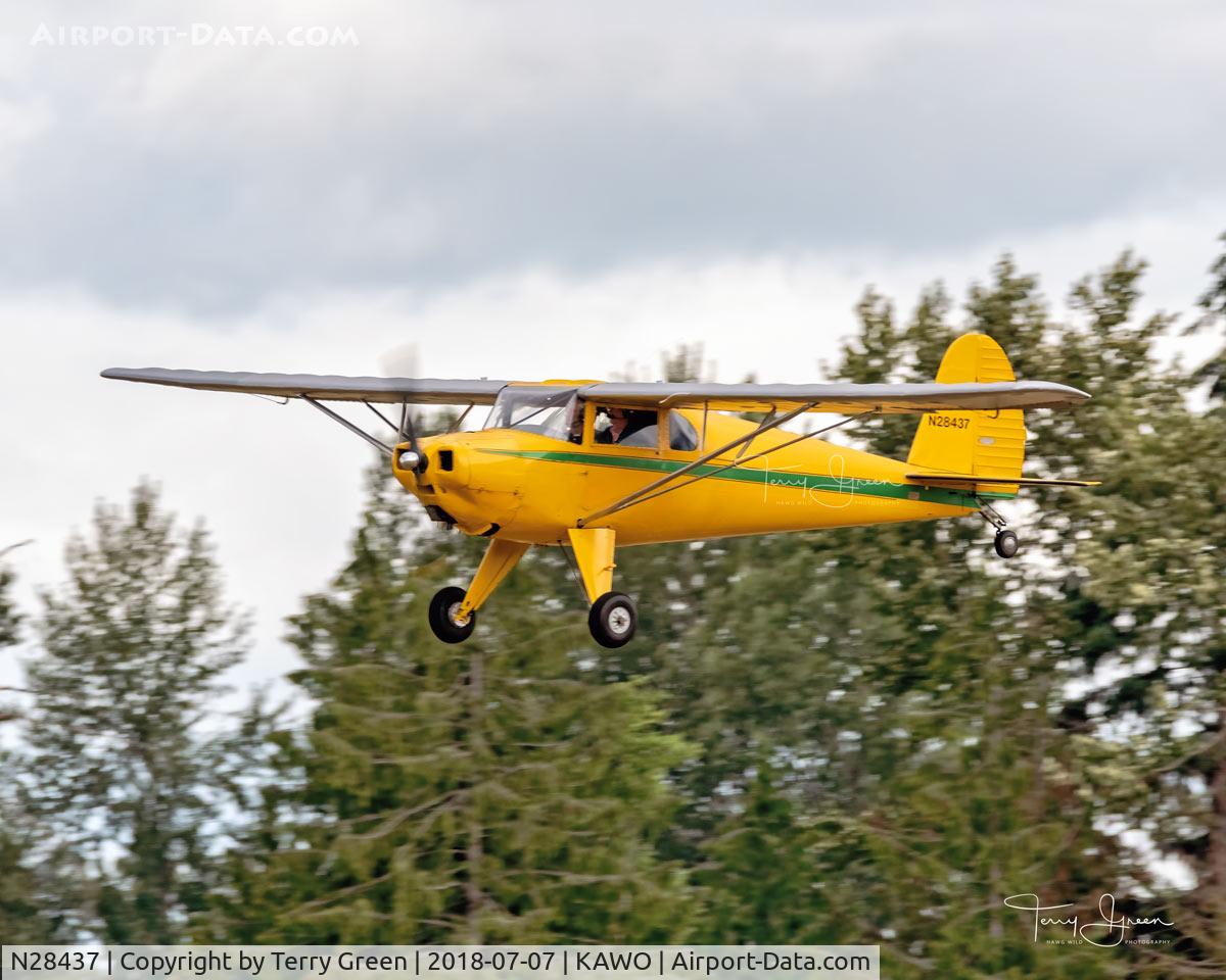 N28437, 1940 Silvaire Luscombe 8A C/N 1304, 2018 Arlington Fly-In