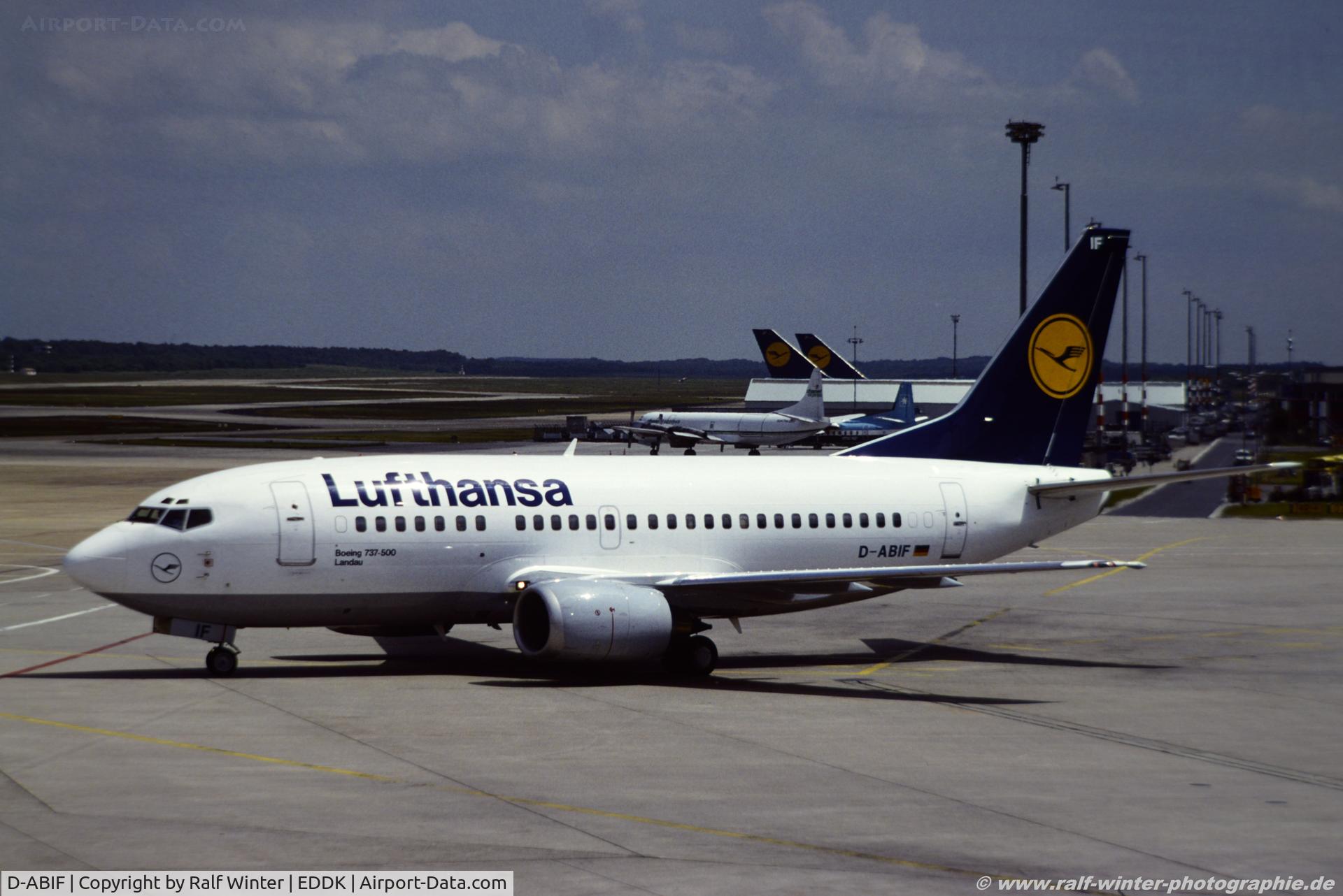 D-ABIF, 1991 Boeing 737-530 C/N 24820, Boeing 737-530 - LH DLH Lufthansa 'Landau' - 24820 - D-ABIF - 1991 - CGN