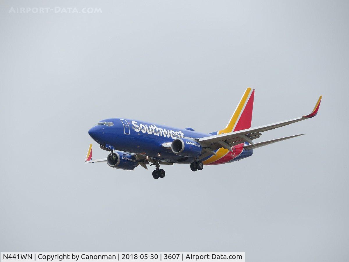 N441WN, 2003 Boeing 737-7H4 C/N 29837, Landing