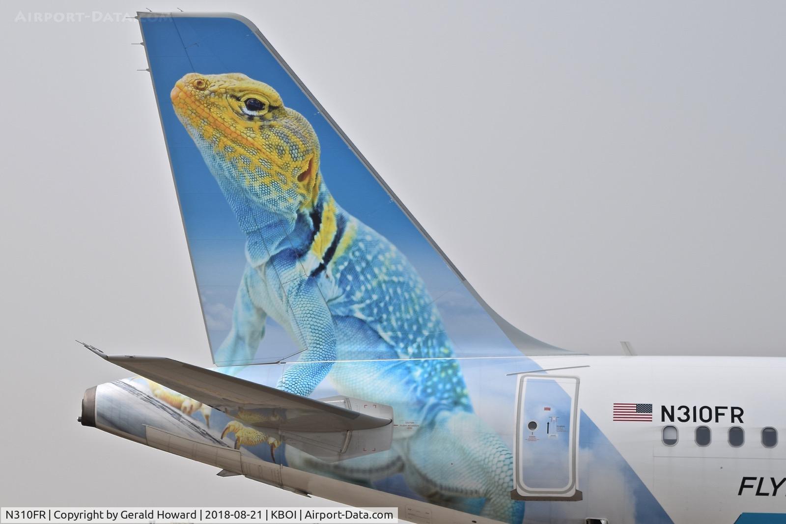 N310FR, 2017 Airbus A320-251N C/N 7600, Frontier has the best tail paintings.