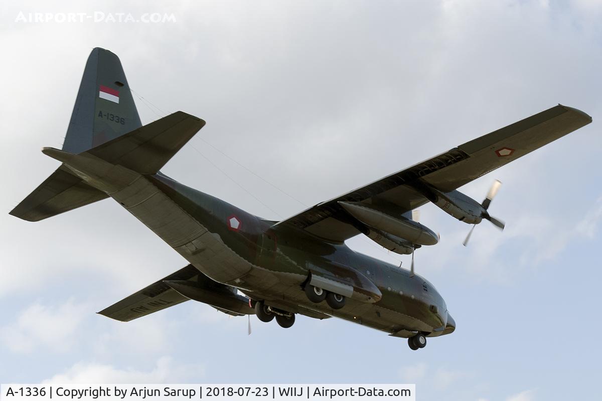 A-1336, 1978 Lockheed C-130H Hercules C/N 382-4787, On final approach at JOG.