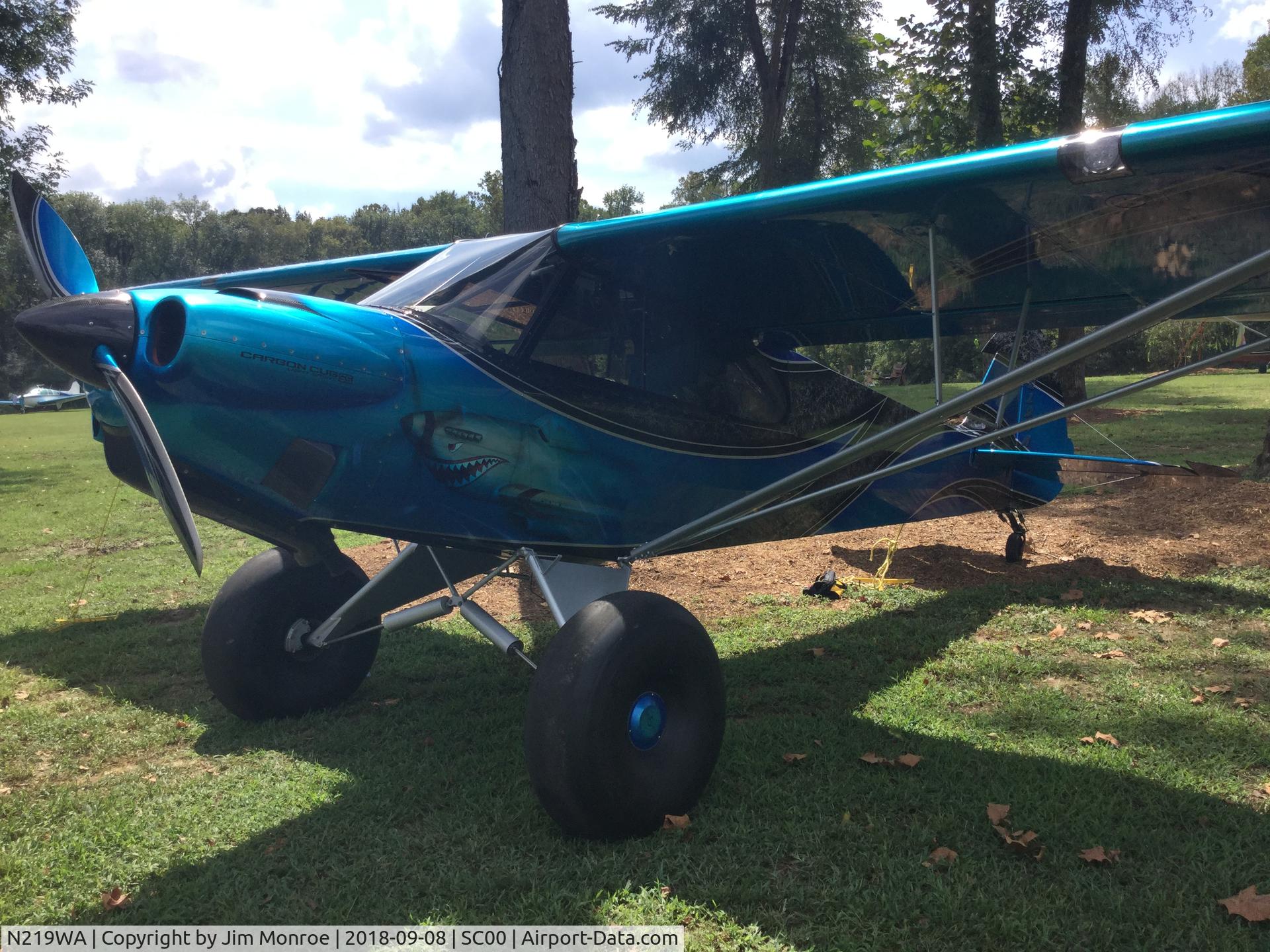 N219WA, Cub Crafters CC-11-160 C/N CC11-00219, Triple Tree Fly-In