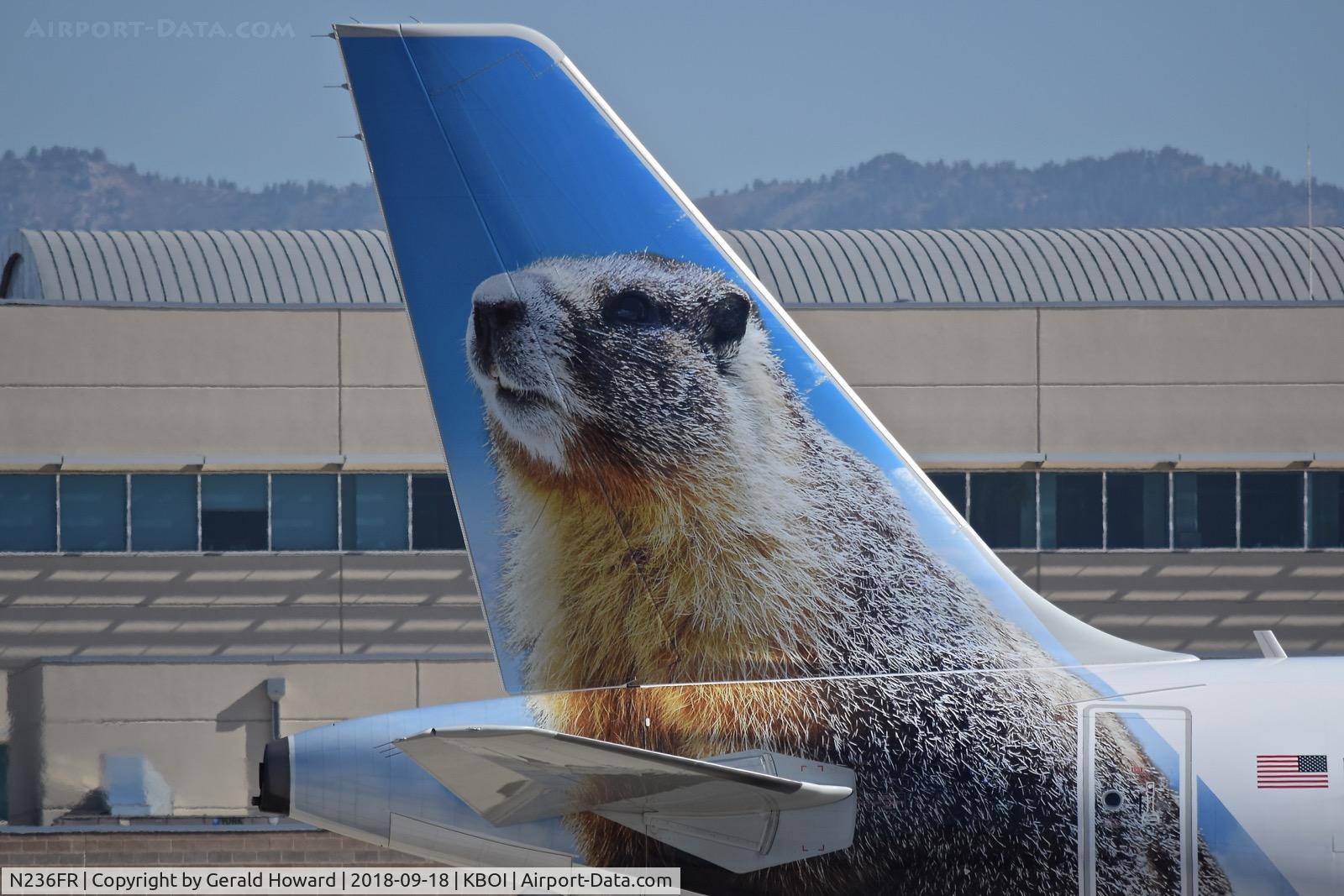 N236FR, 2016 Airbus A320-214 C/N 7389, Marty the Marmot