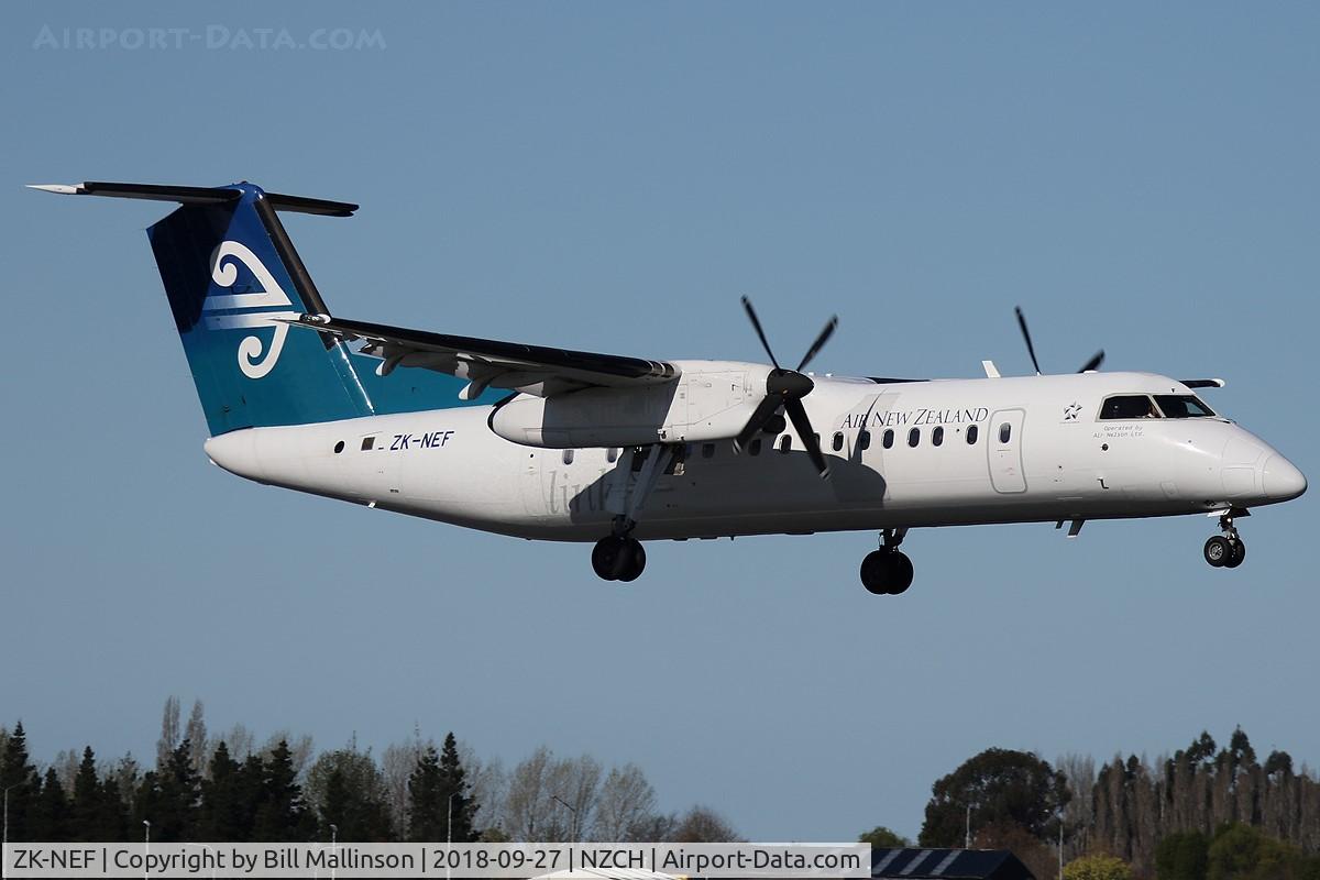 ZK-NEF, 2005 De Havilland Canada DHC-8-311 Dash 8 C/N 620, NZ8851 from NSN