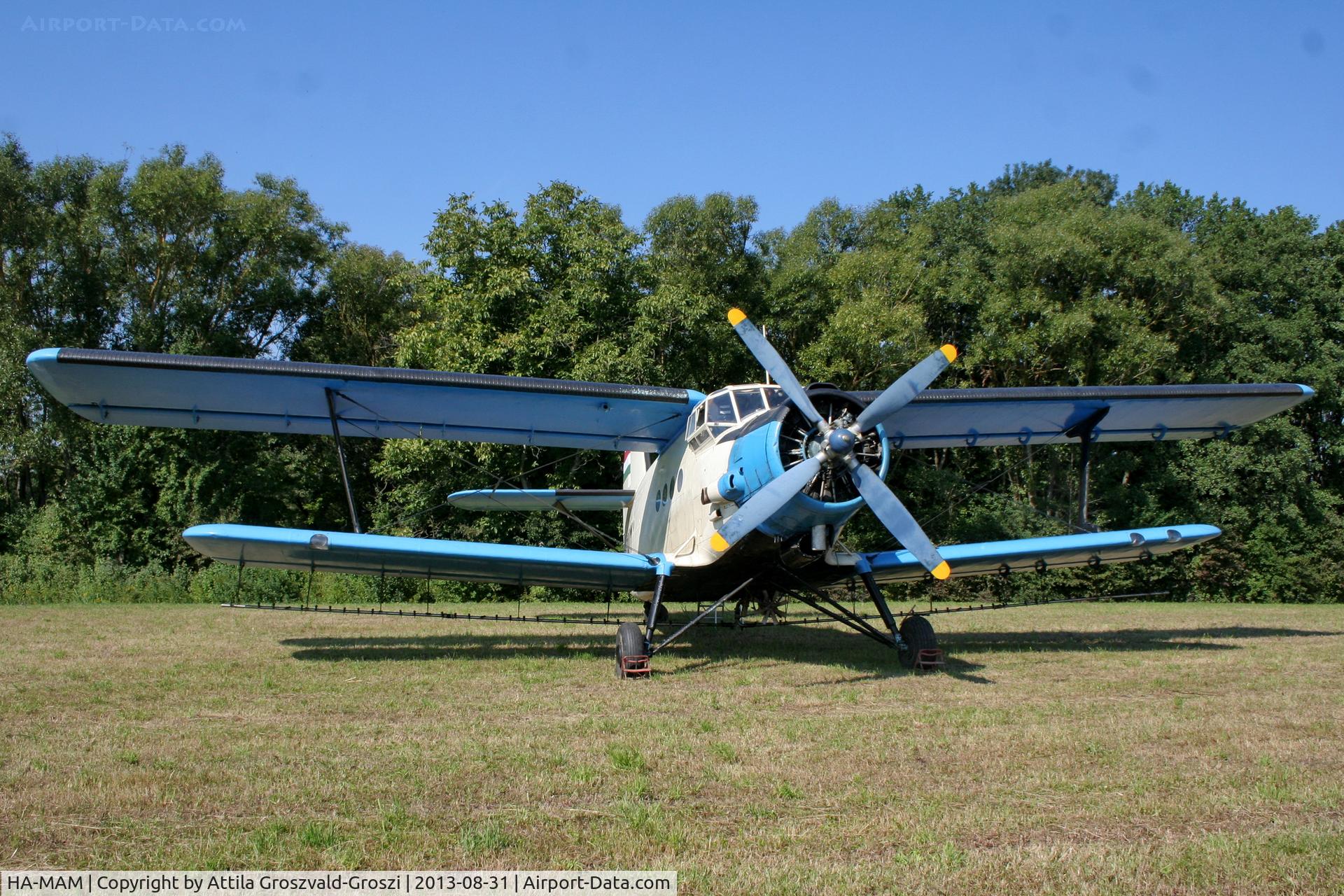 HA-MAM, 1984 PZL-Mielec An-2R C/N 1G208-44, II. Cirrus-Hertelendy Aviator's Weekend , Hertelendy Castle Airfield Hungary