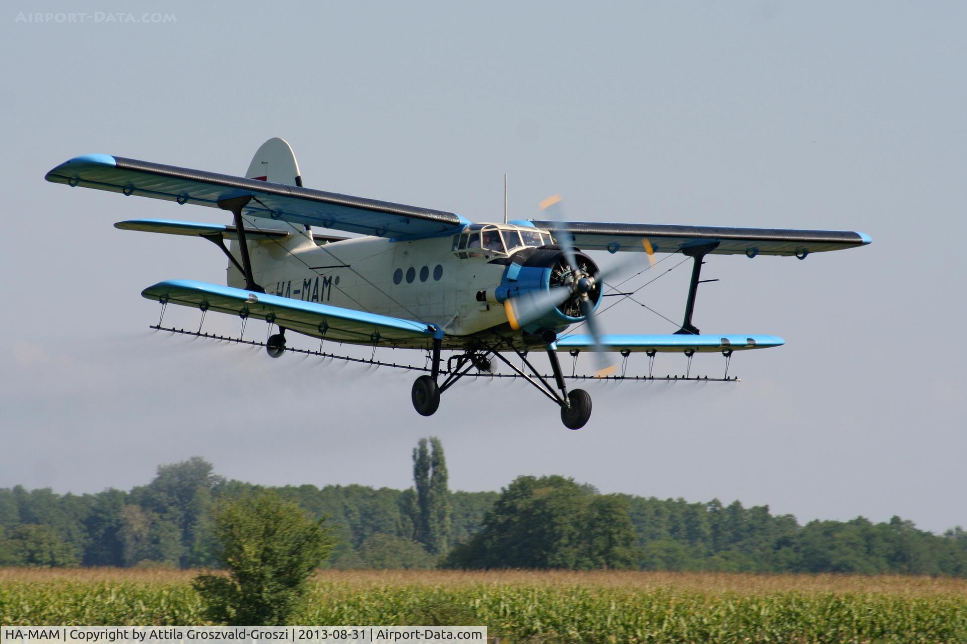 HA-MAM, 1984 PZL-Mielec An-2R C/N 1G208-44, II. Cirrus-Hertelendy Aviator's Weekend , Hertelendy Castle Airfield Hungary