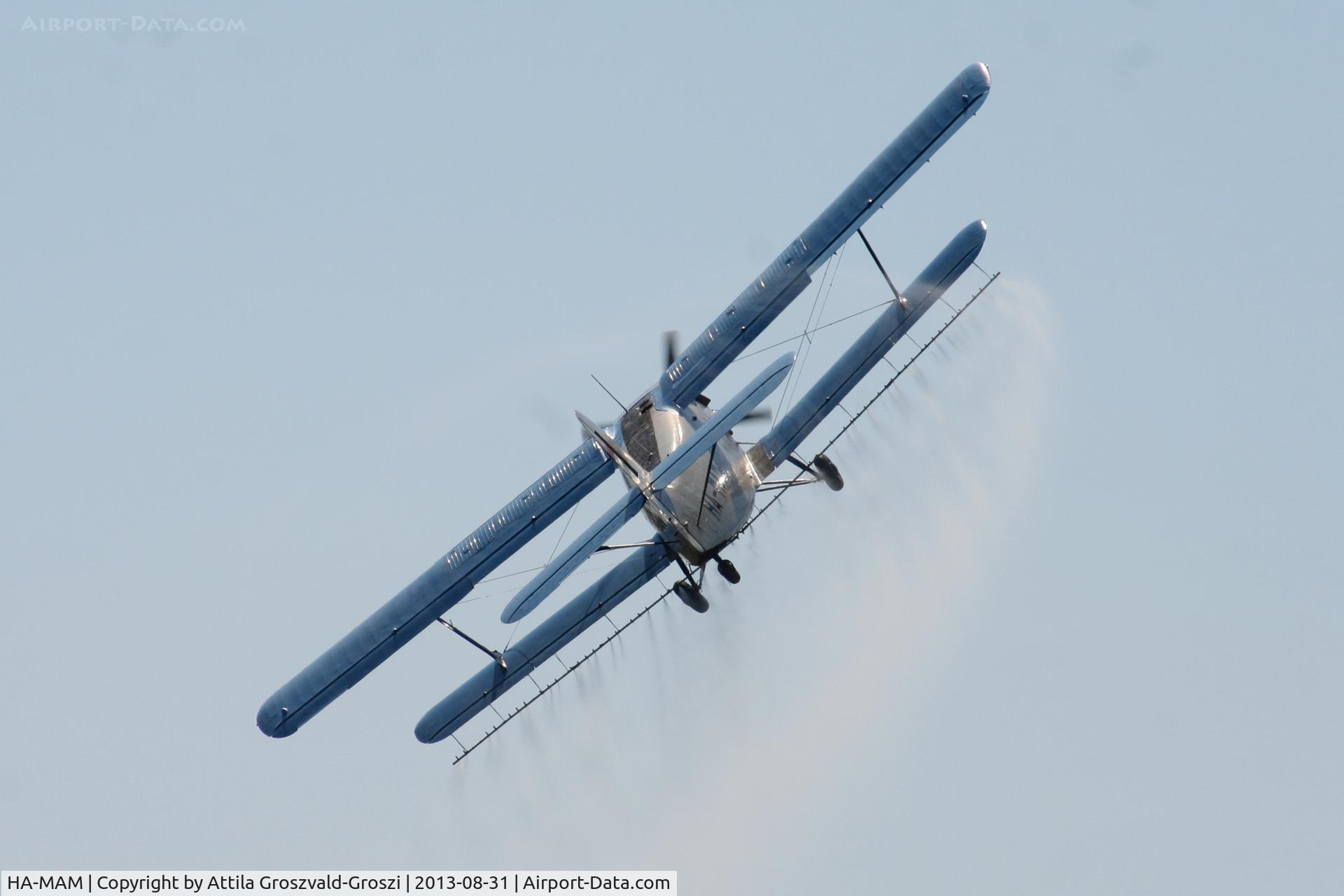 HA-MAM, 1984 PZL-Mielec An-2R C/N 1G208-44, II. Cirrus-Hertelendy Aviator's Weekend , Hertelendy Castle Airfield Hungary