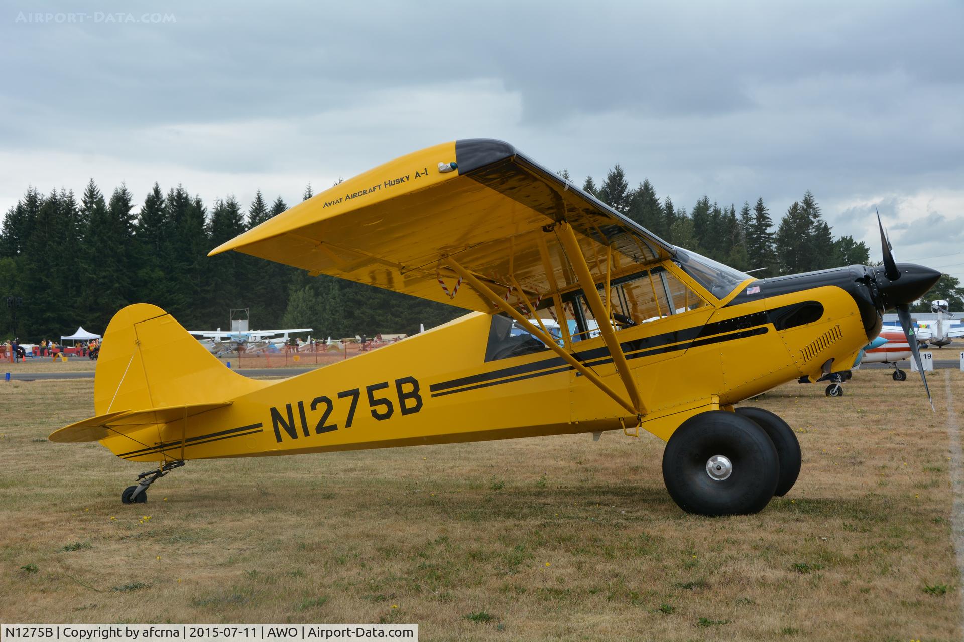 N1275B, 1995 Aviat A-1 Husky C/N 1287, EAA ARLINGTON FLY-IN