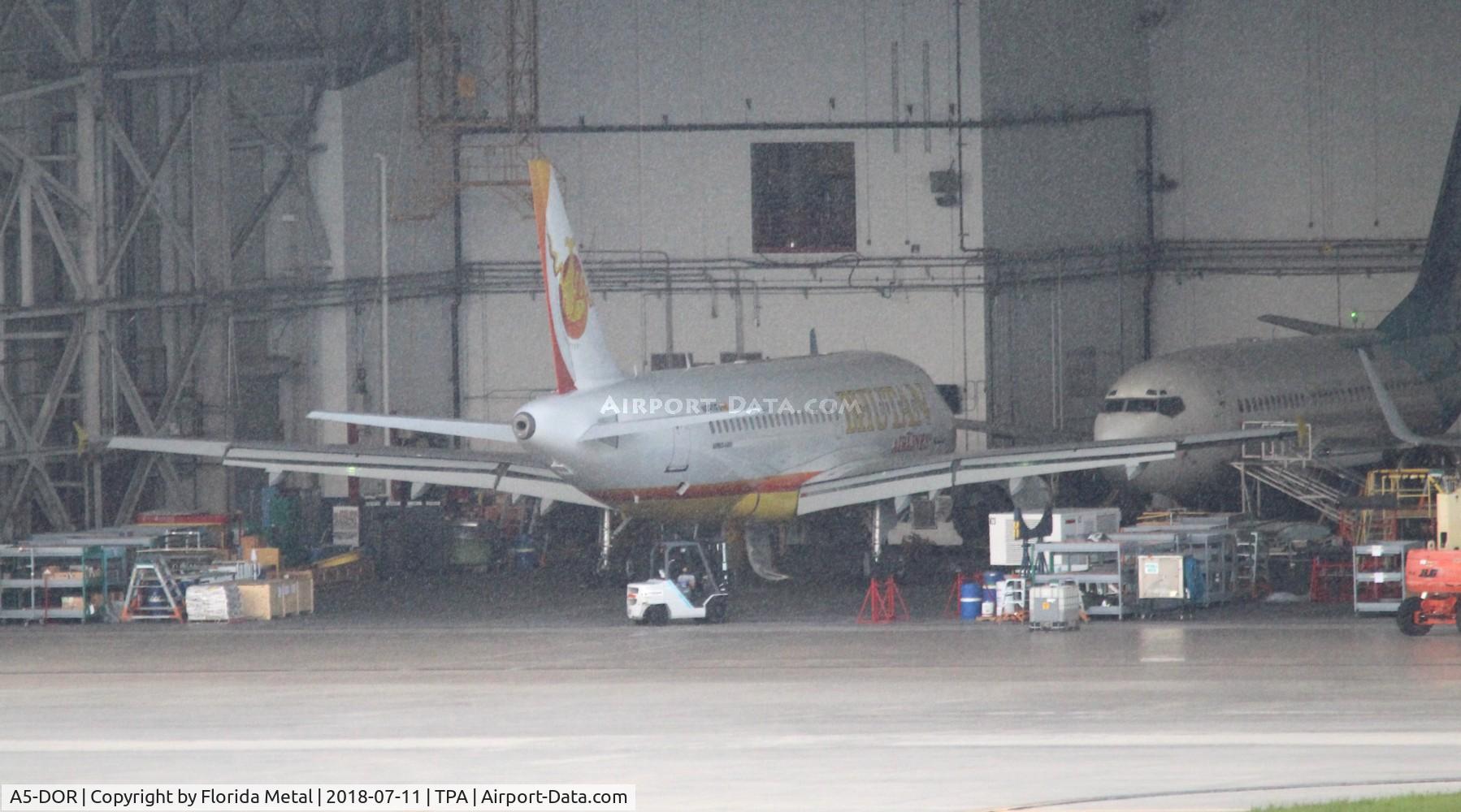 A5-DOR, 2010 Airbus A319-112 C/N 4204, Bhutan Airlines
