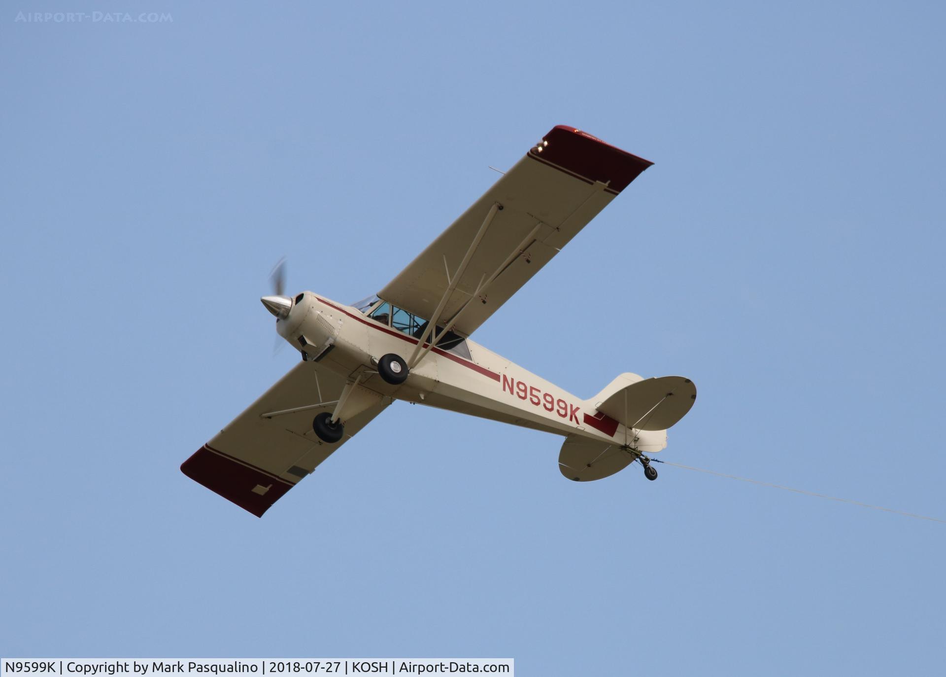 N9599K, 1989 Christen A-1 Husky C/N 1111, Christen A-1