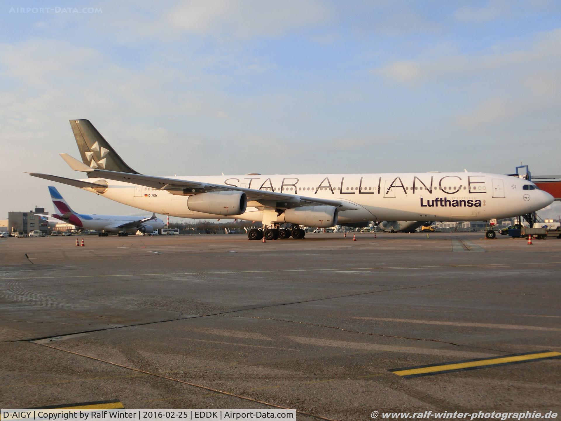 D-AIGY, 2000 Airbus A340-313 C/N 335, Airbus A340-313 - LH DLH Lufthansa 'Star Alliance livery' 'Luenen' - 335 - D-AIGY - 25.02.2016 - CGN
