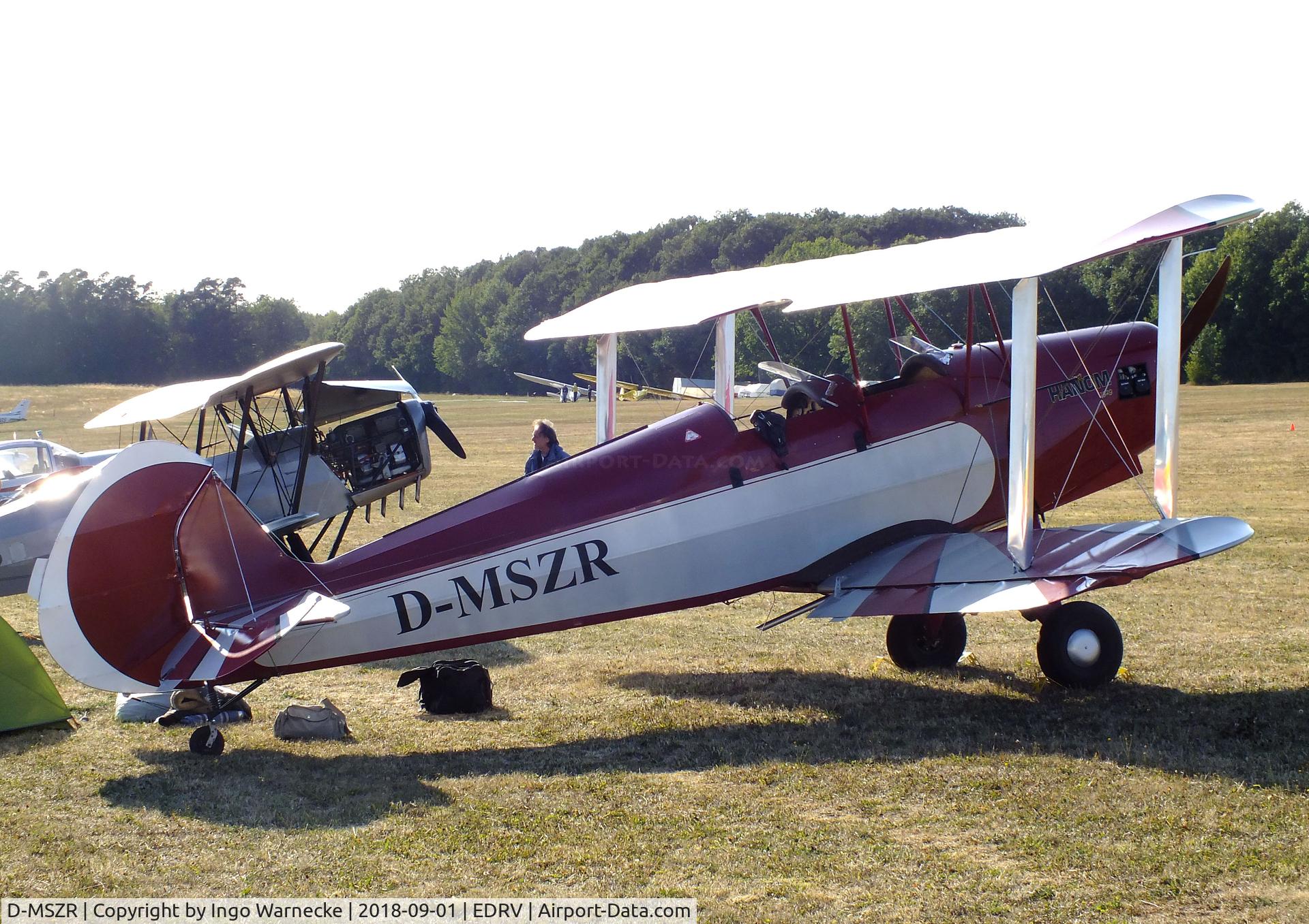 D-MSZR, Platzer Kiebitz C/N 291, Platzer Kiebitz at the 2018 Flugplatzfest Wershofen
