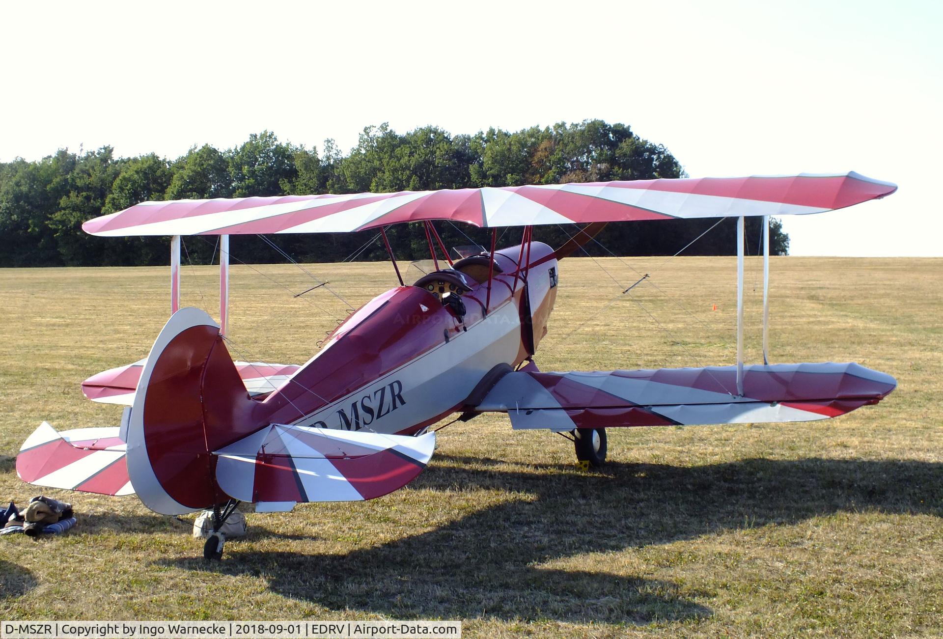 D-MSZR, Platzer Kiebitz C/N 291, Platzer Kiebitz at the 2018 Flugplatzfest Wershofen