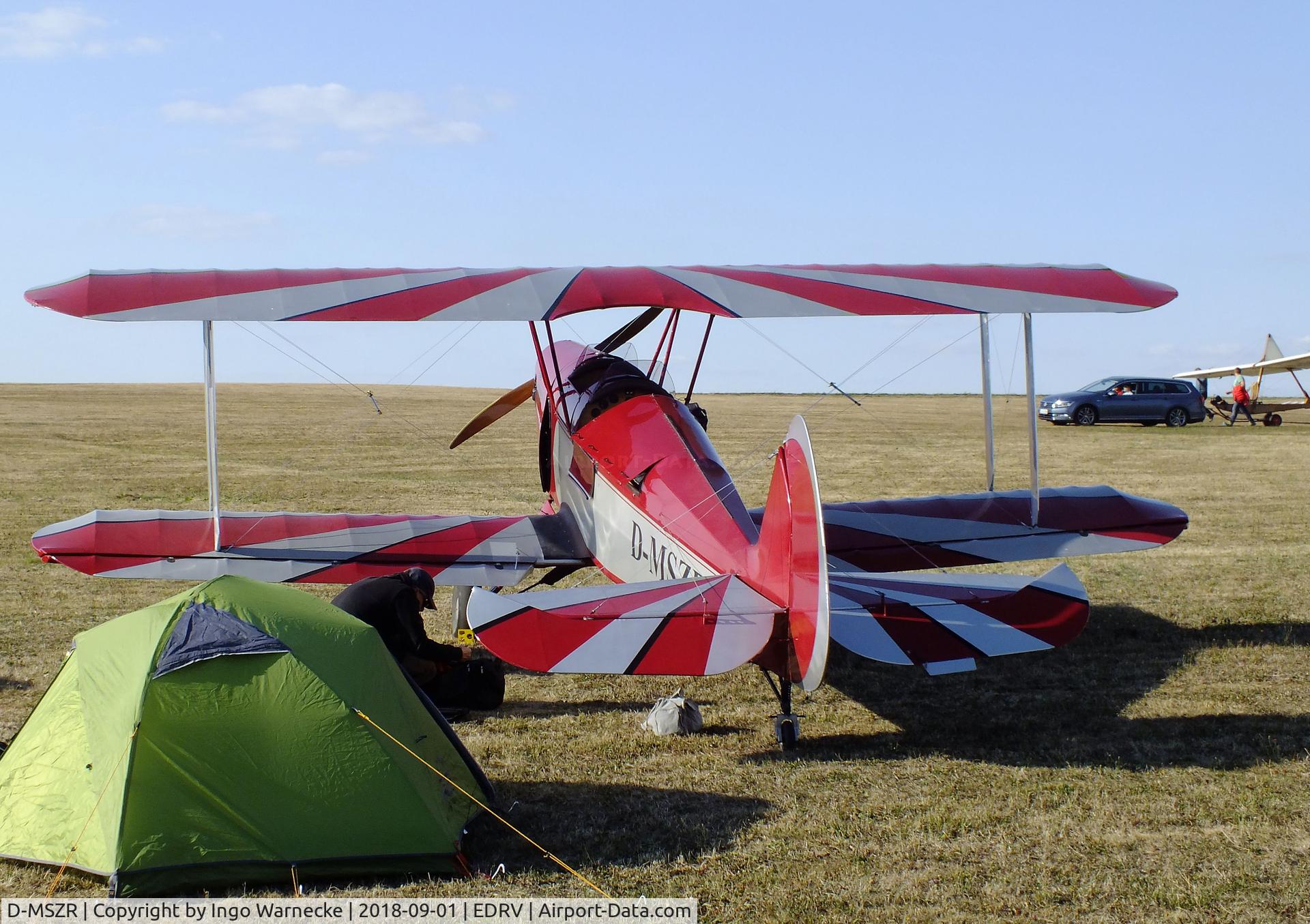 D-MSZR, Platzer Kiebitz C/N 291, Platzer Kiebitz at the 2018 Flugplatzfest Wershofen