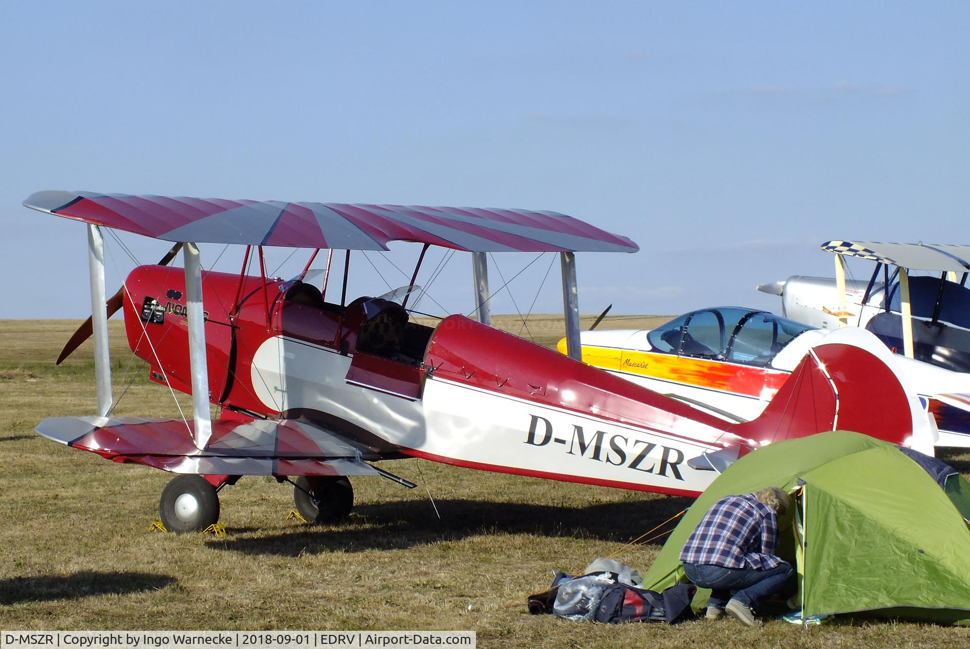 D-MSZR, Platzer Kiebitz C/N 291, Platzer Kiebitz at the 2018 Flugplatzfest Wershofen