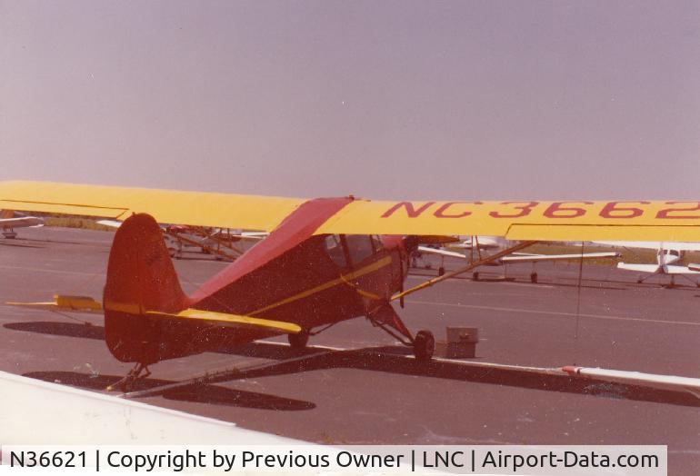 N36621, Aeronca 65-TAC C/N C1081TA, Static on Ramp