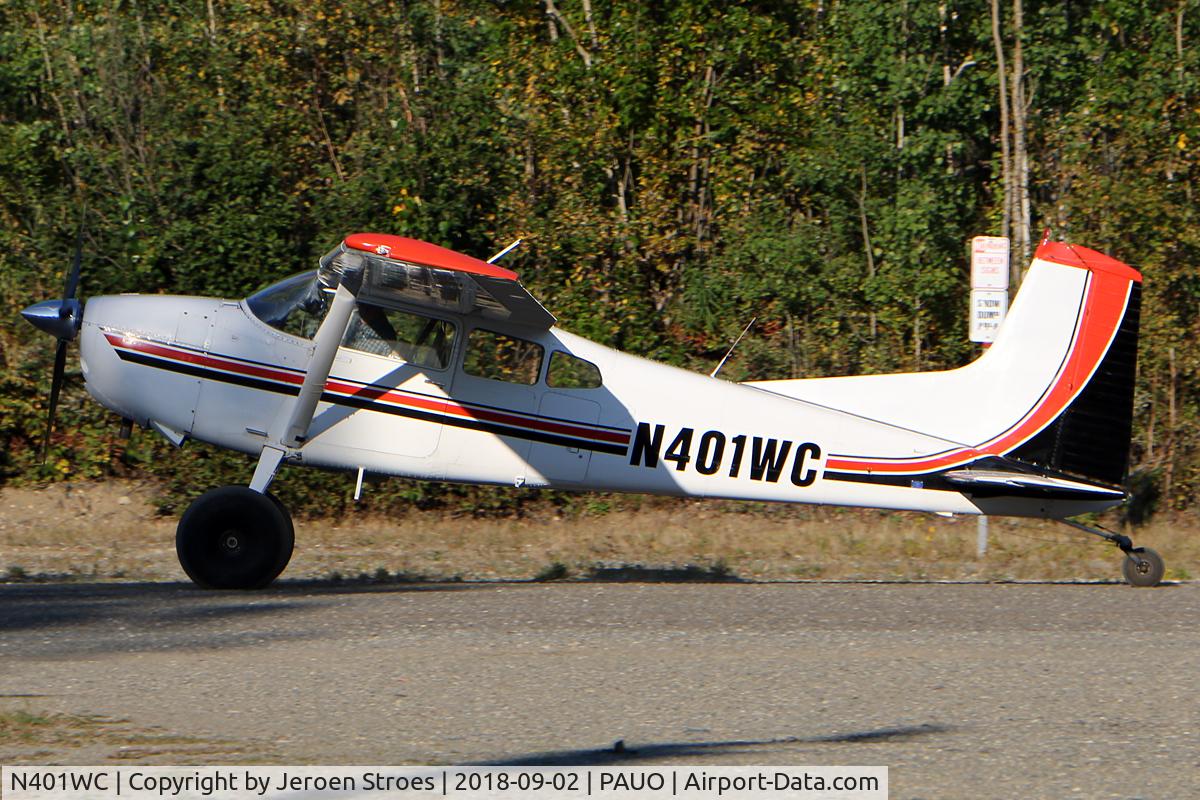 N401WC, 1973 Cessna A185F Skywagon 185 C/N 18502235, WILLOW