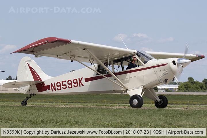 N9599K, 1989 Christen A-1 Husky C/N 1111, Christen A-1 Husky  C/N 1111, N9599K
