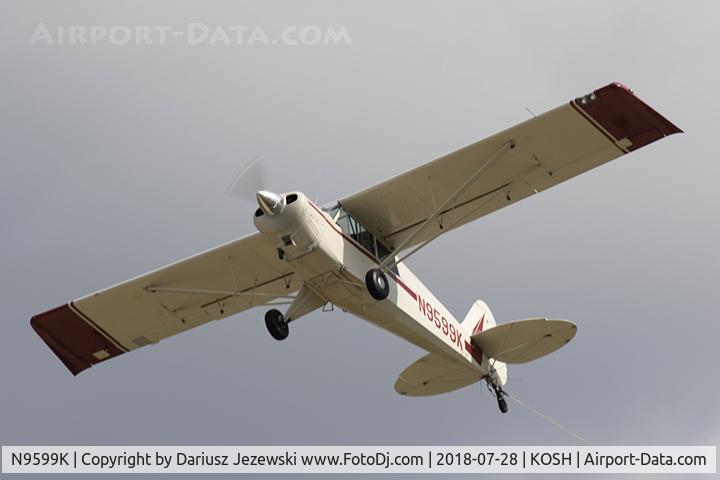 N9599K, 1989 Christen A-1 Husky C/N 1111, Christen A-1 Husky  C/N 1111, N9599K