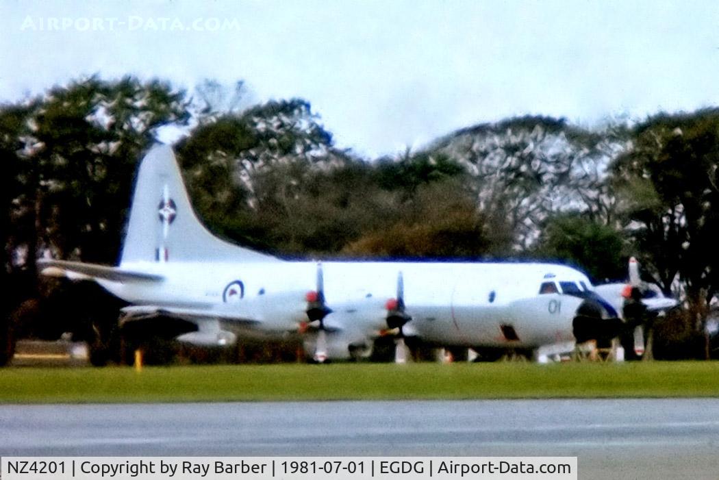 NZ4201, 1966 Lockheed P-3K Orion C/N 185-5190, NZ4201   Lockheed P-3K Orion [5190] (Royal New Zealand Air Force) RAF St Mawgan-Newquay~G 01/07/1981. From a slide . Not the best of images.