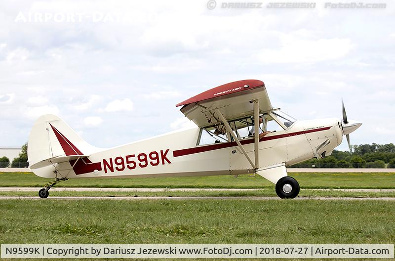 N9599K, 1989 Christen A-1 Husky C/N 1111, Christen A-1 Husky  C/N 1111, N9599K