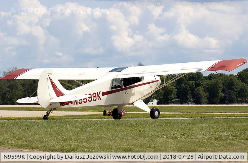 N9599K, 1989 Christen A-1 Husky C/N 1111, Christen A-1 Husky  C/N 1111, N9599K