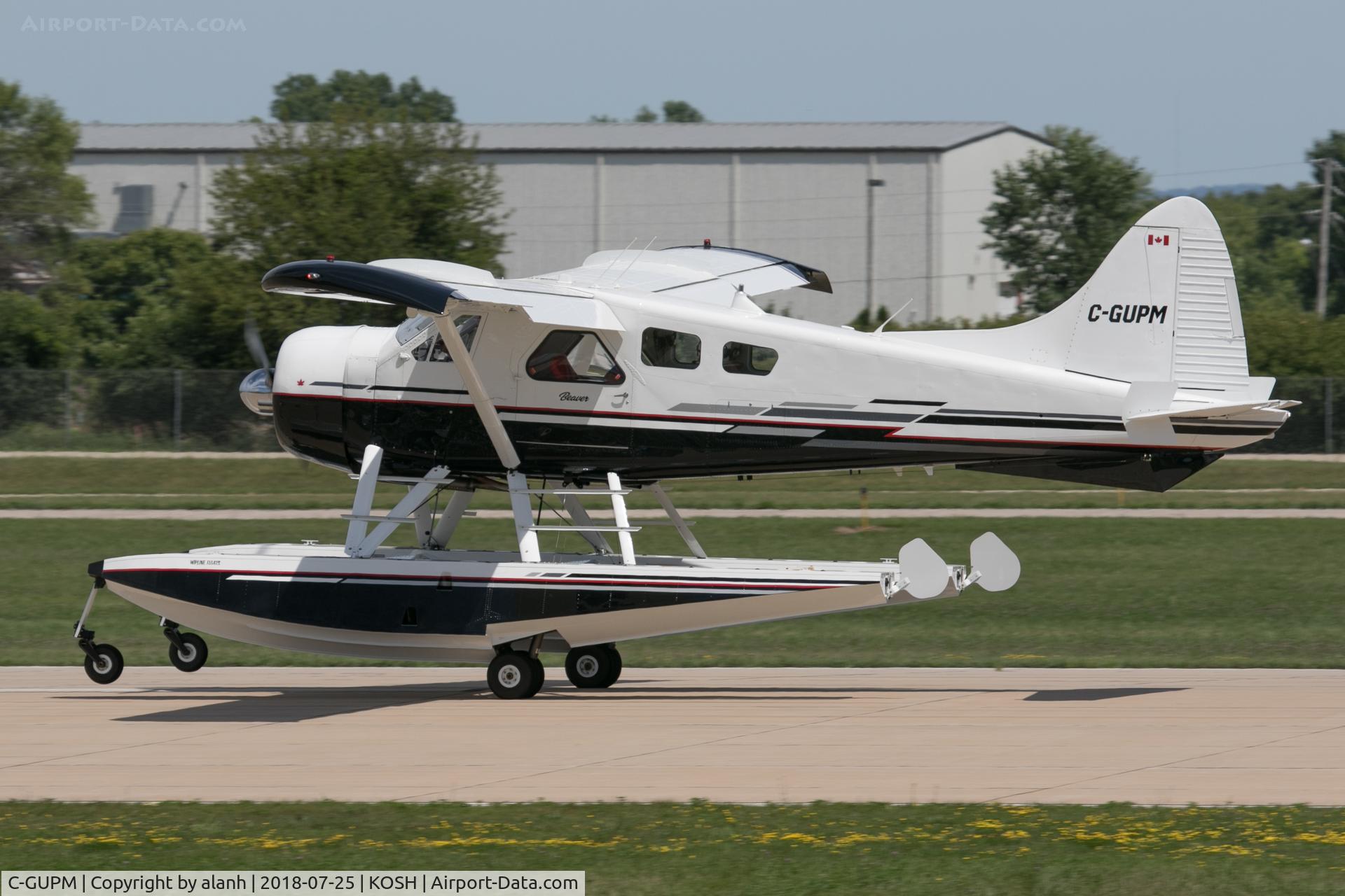 C-GUPM, 1951 De Havilland Canada DHC-2 Beaver Mk.1 C/N 336, Rolling out after arrival at AirVenture 2018