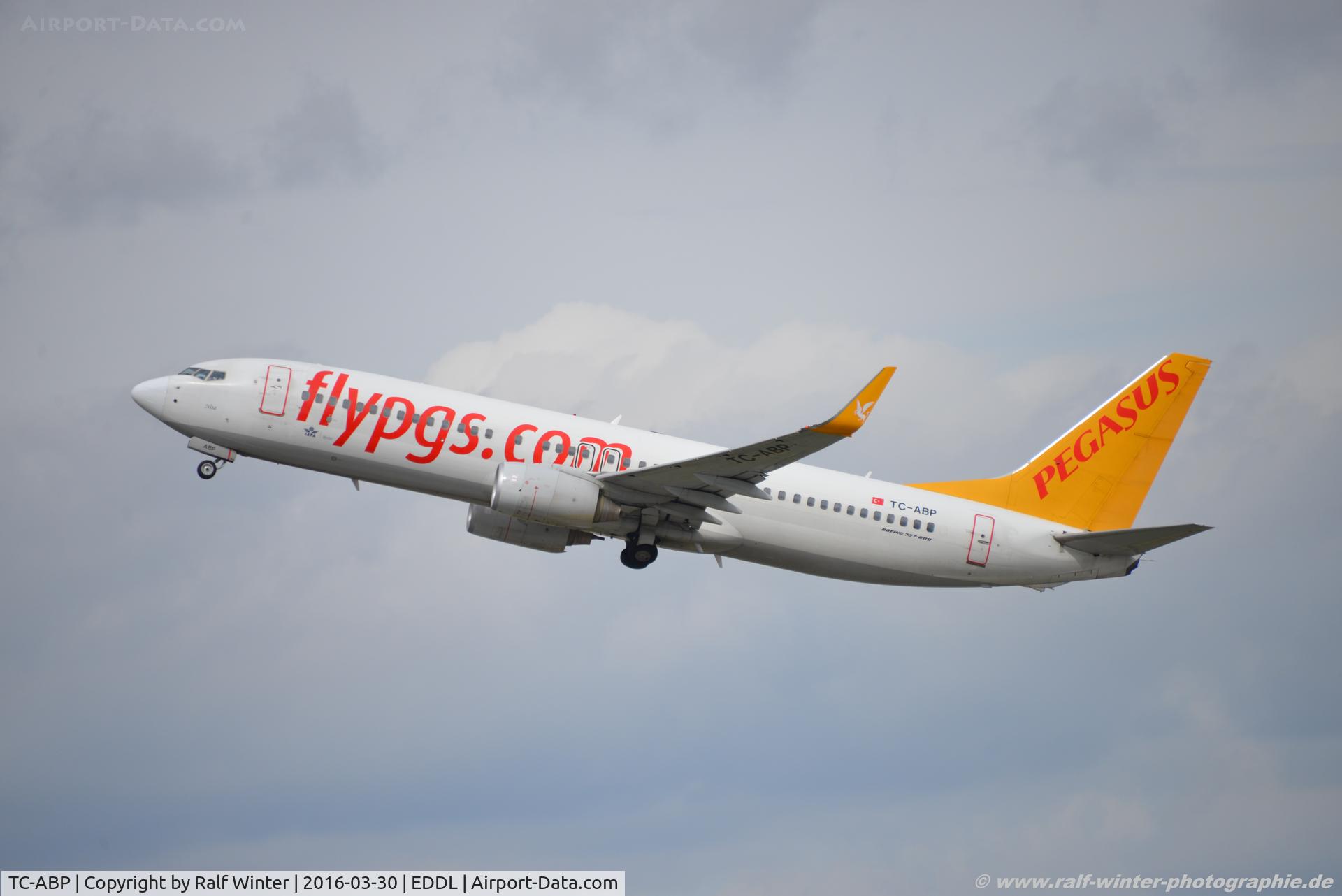 TC-ABP, 2010 Boeing 737-82R C/N 40876, Boeing 737-82R(W) - H9 PGT Pegasus Airlines 'Nisa' - 40876 - TC-ABP - 30.03.0216 - DUS