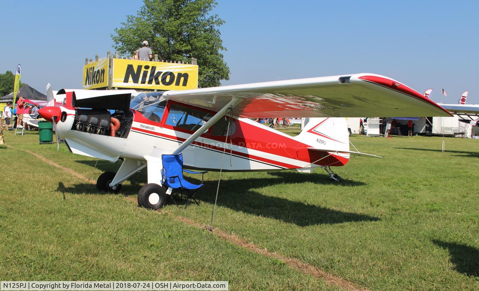 N125PJ, Barrows Bearhawk C/N 570, Bearhawk