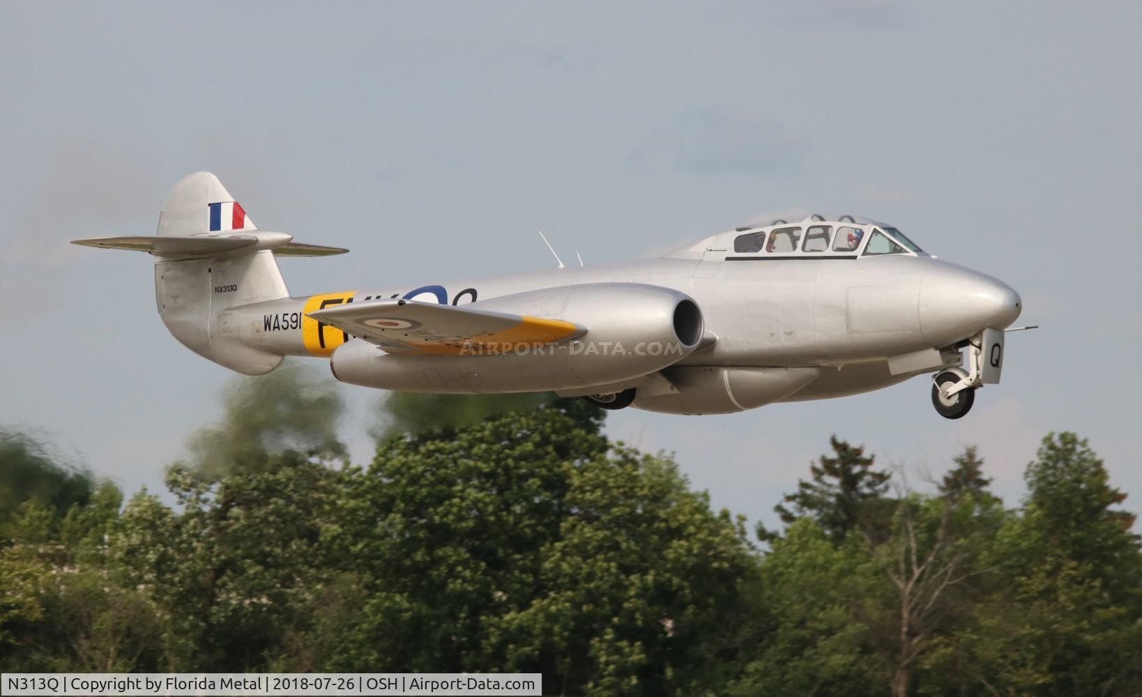 N313Q, 1949 Gloster Meteor T.7 C/N G5/356460, Meteor