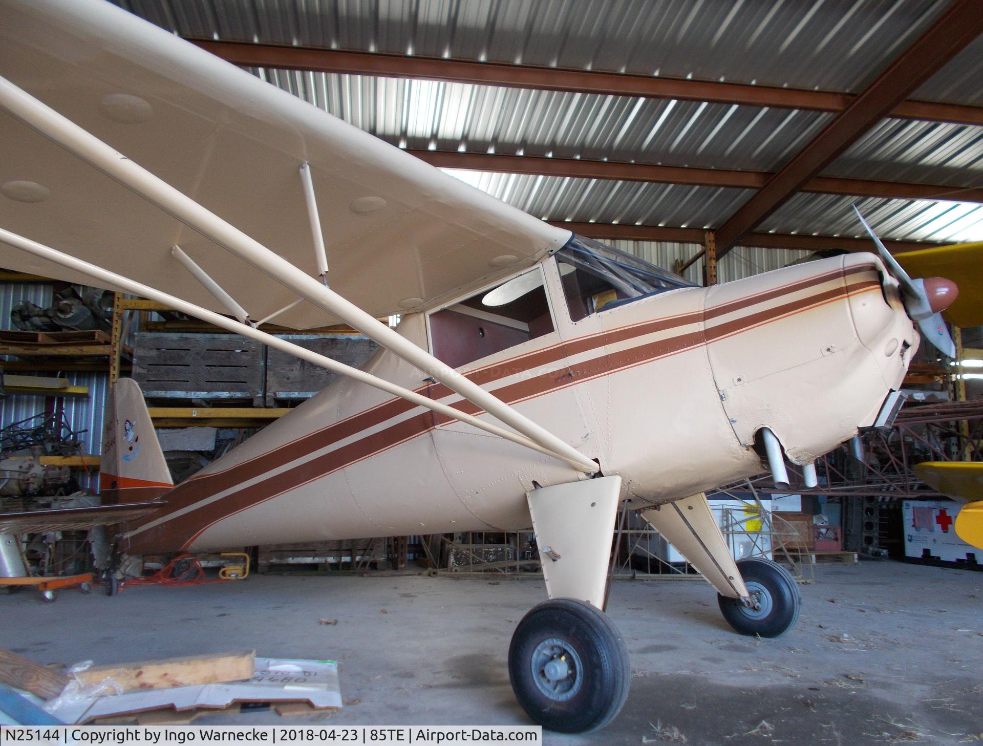 N25144, 1939 Luscombe 8A C/N 1068, Luscombe 8A at the Pioneer Flight Museum, Kingsbury TX