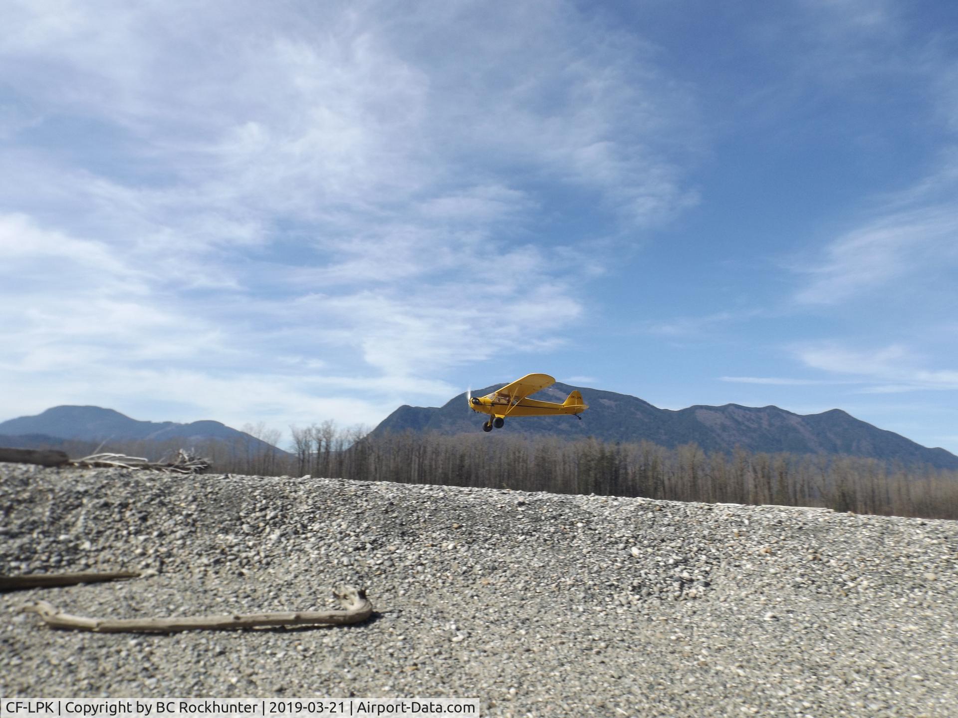 CF-LPK, 1946 Piper J3C-65 Cub C/N 20629, CF-LPK flying low over herrling island on the fraser river in british columbia canada