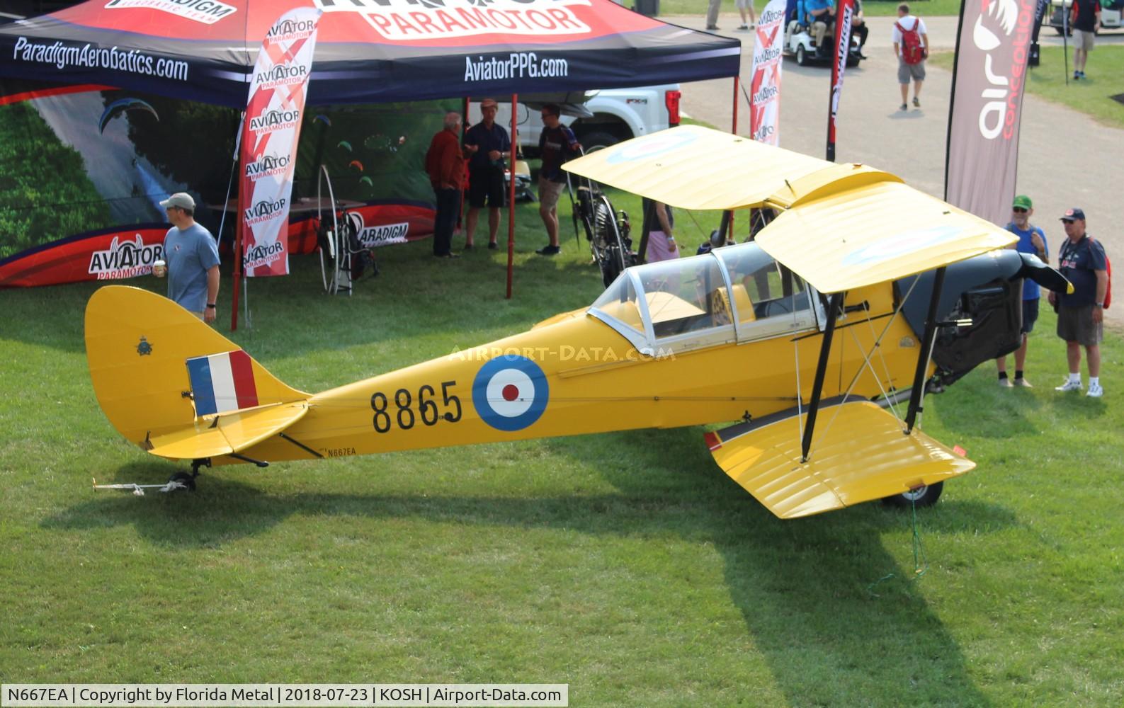 N667EA, 1942 De Havilland Canada DH-82C Tiger Moth C/N DHC1667, Tiger Moth