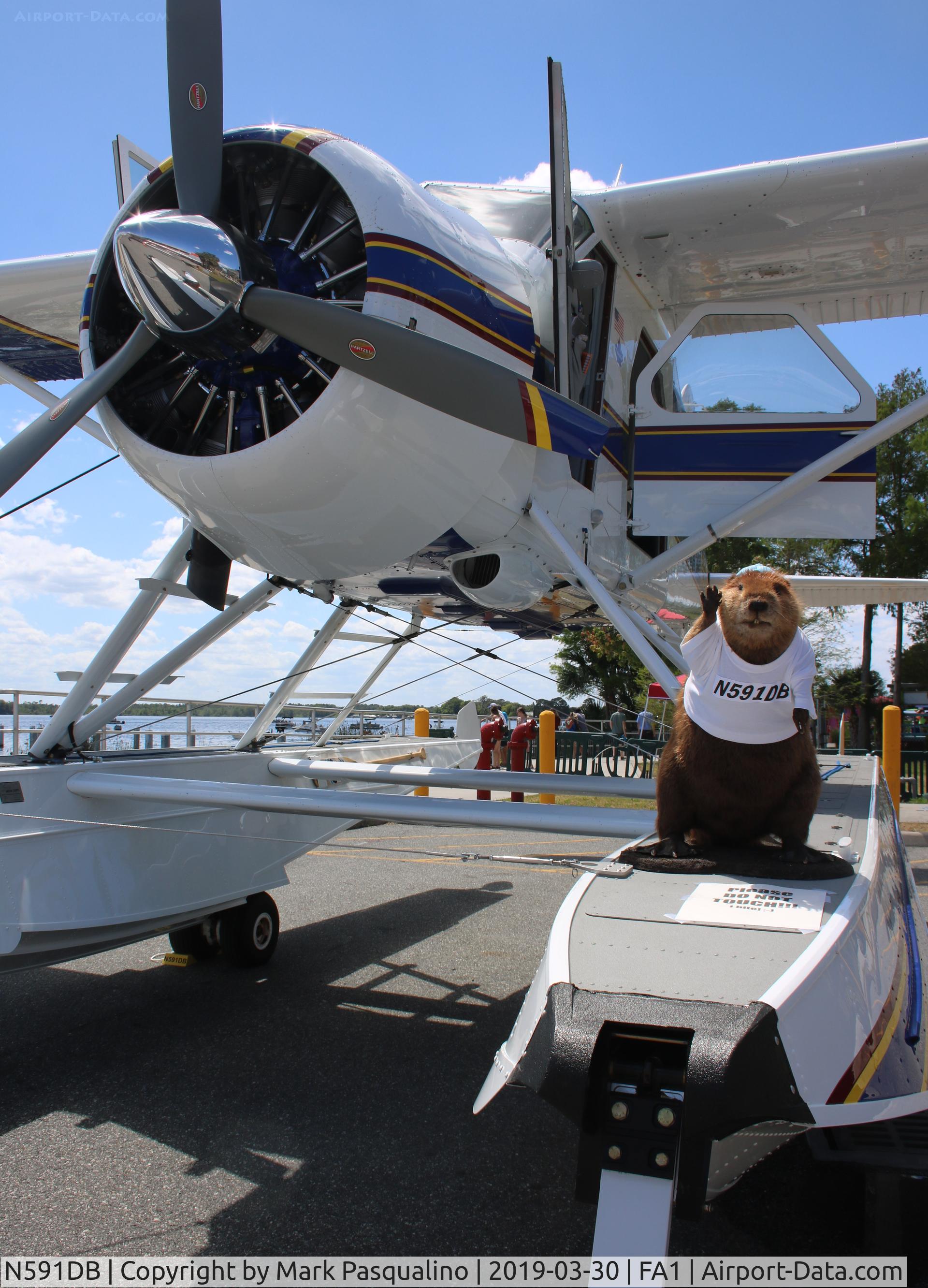 N591DB, 1959 De Havilland Canada DHC-2 C/N 1310, DHC-2