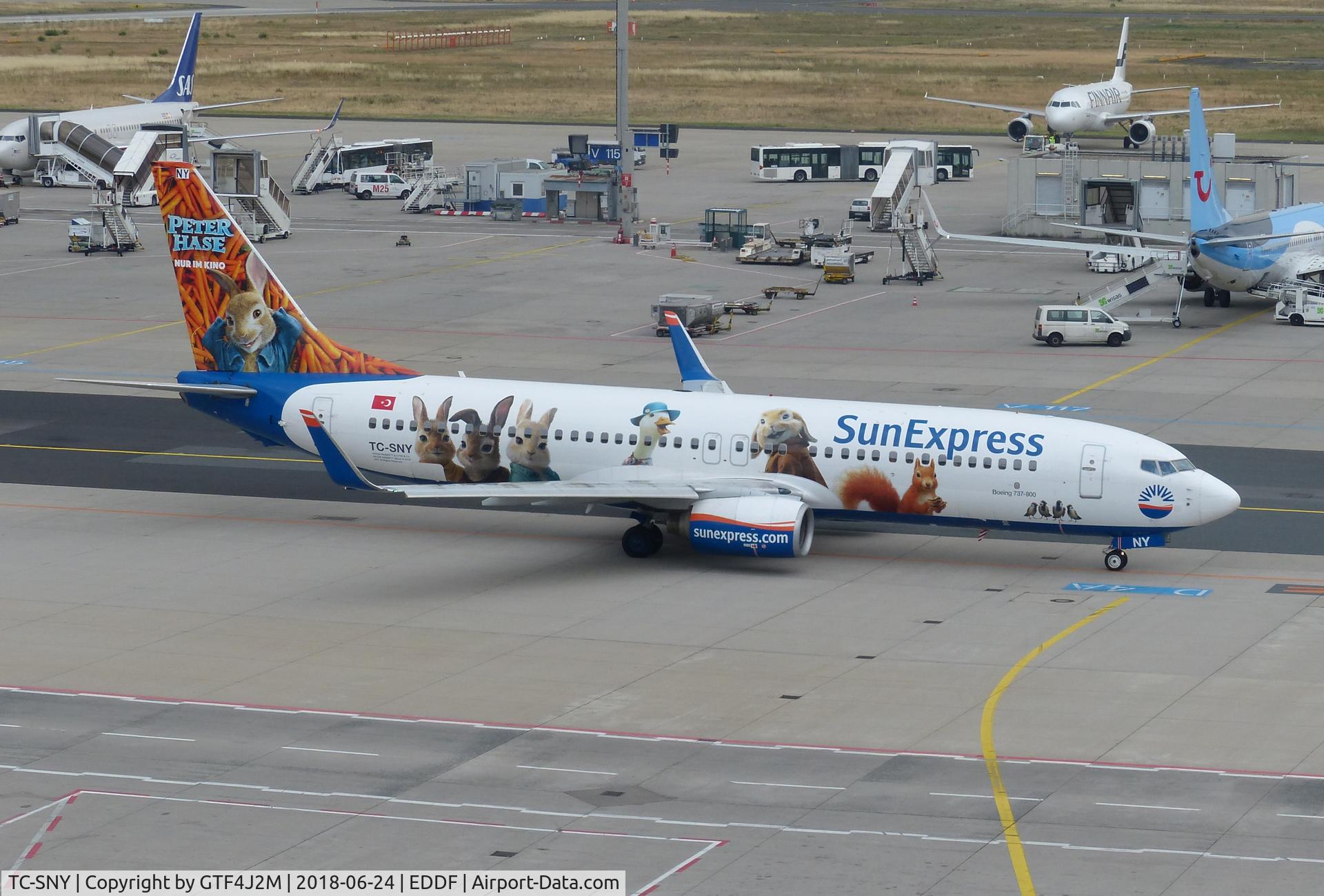 TC-SNY, 1997 Boeing 737-8K5 C/N 27981, TC-SNY  at Frankfurt 24.6.18