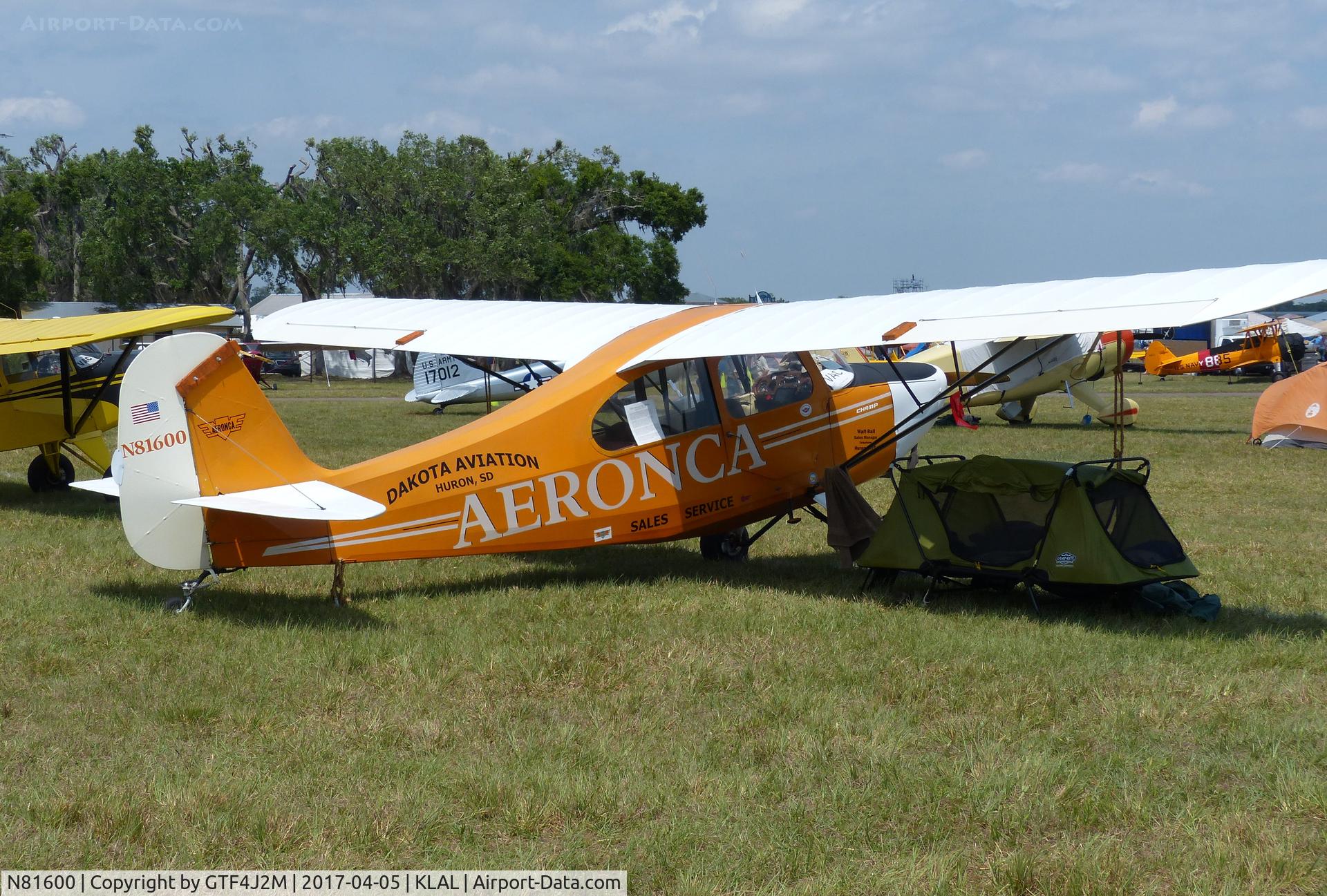 N81600, 1945 Aeronca 7AC Champion C/N 7AC-219, N81600  at Sun 'n Fun, Lakeland 5.4.17