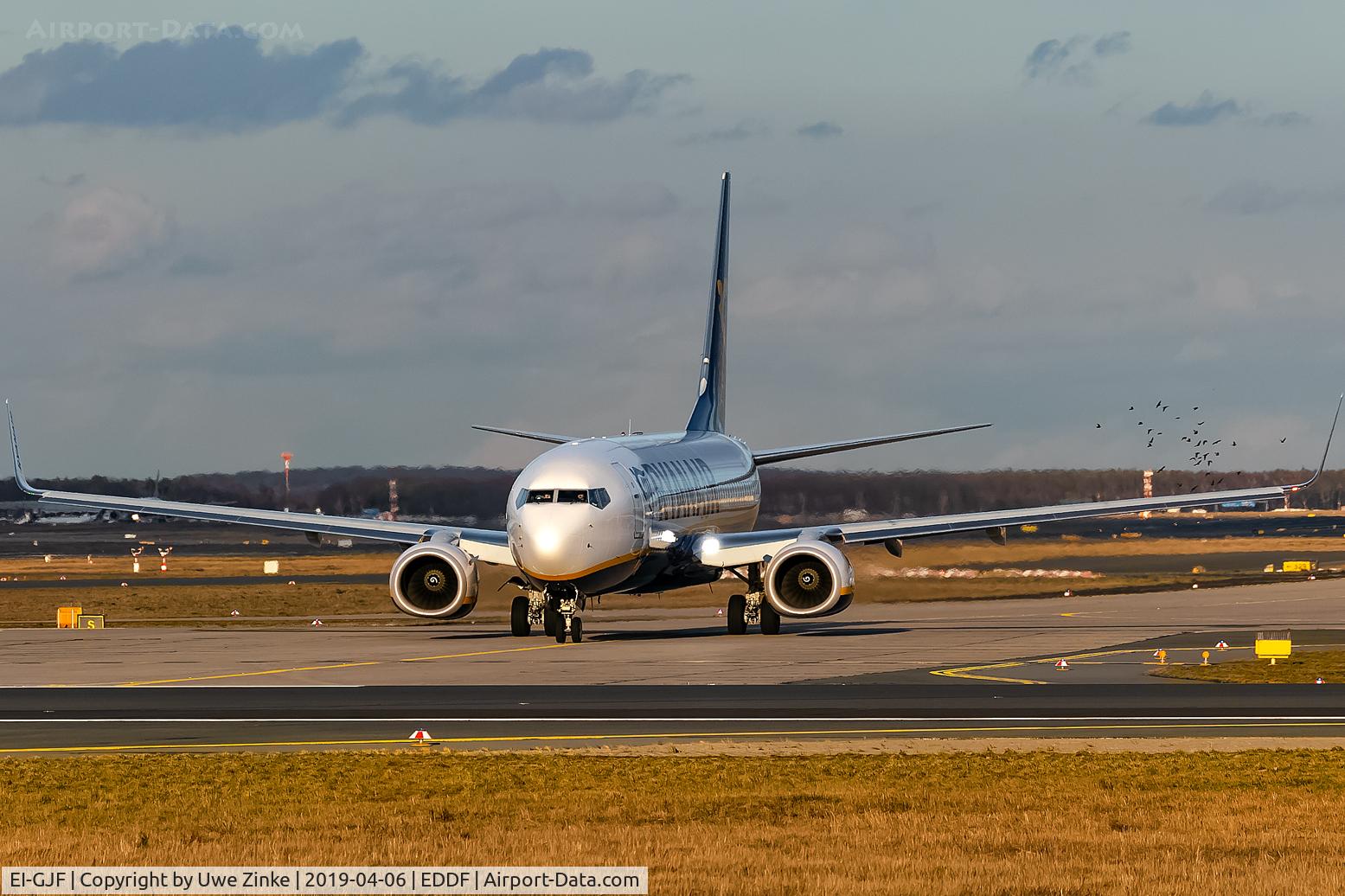 EI-GJF, 2018 Boeing 737-800 C/N 44828, with a lot of birds