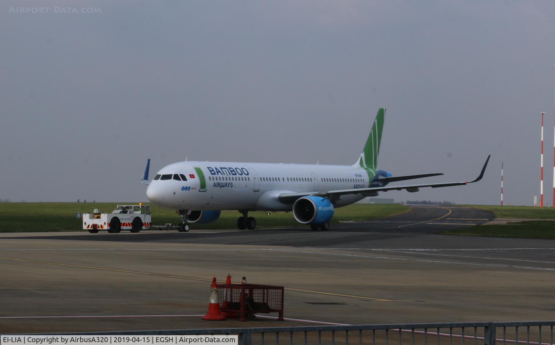 EI-LIA, 2018 Airbus A321-251N C/N 8260, Emerging in Bamboo Airways livery